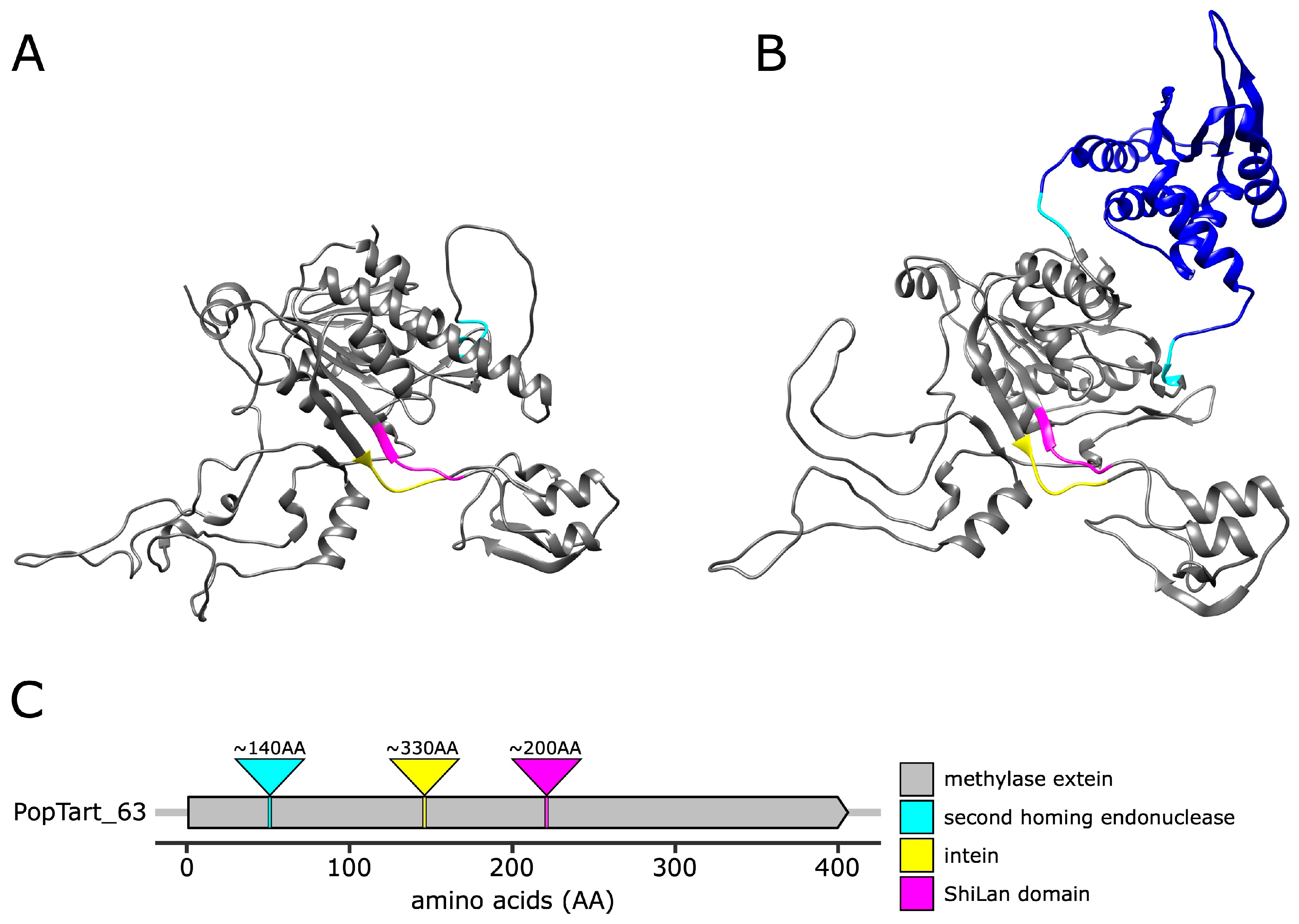 Genes 14 00288 g004 Genes 14 00288 g004