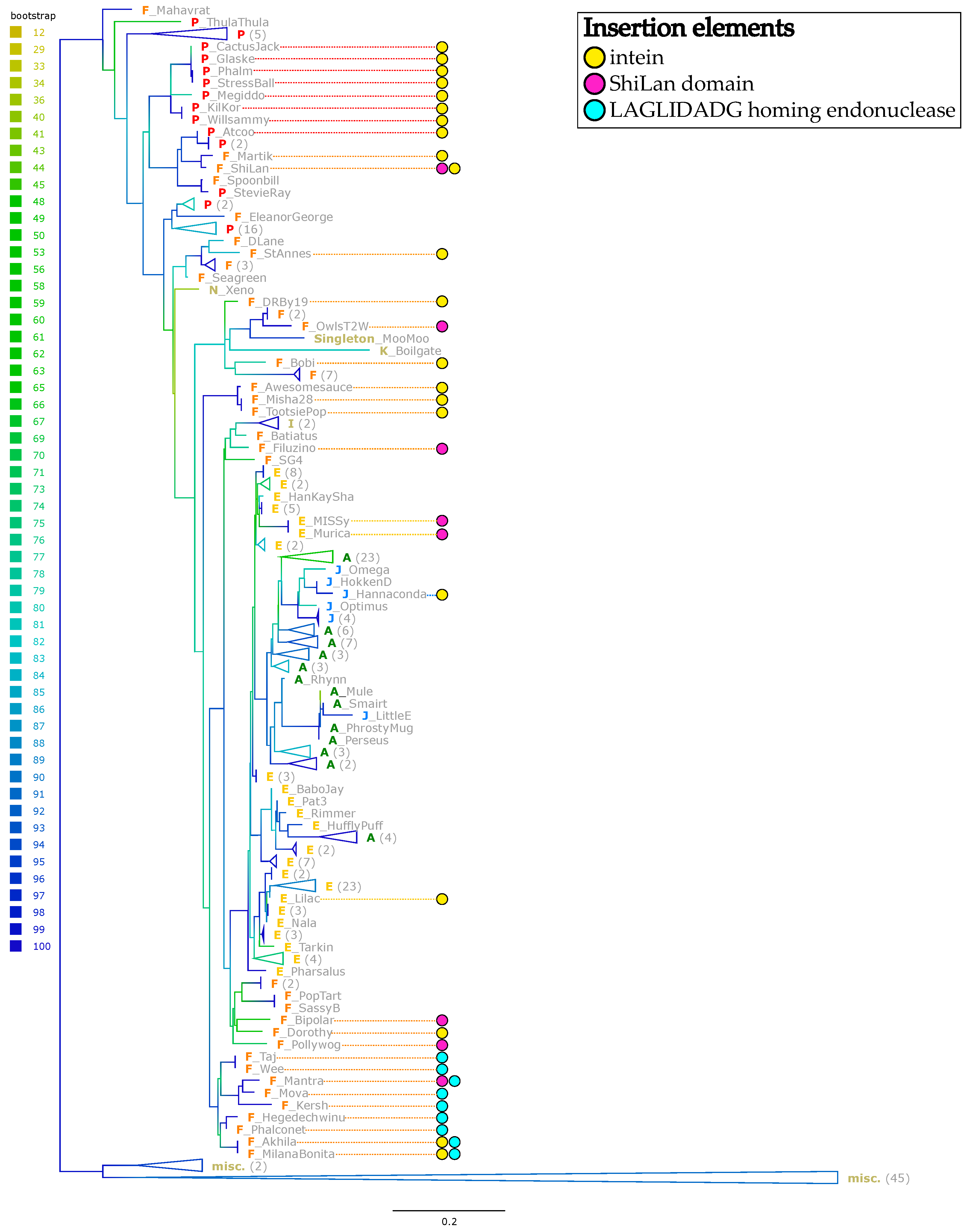 Genes 14 00288 g005 Genes 14 00288 g005