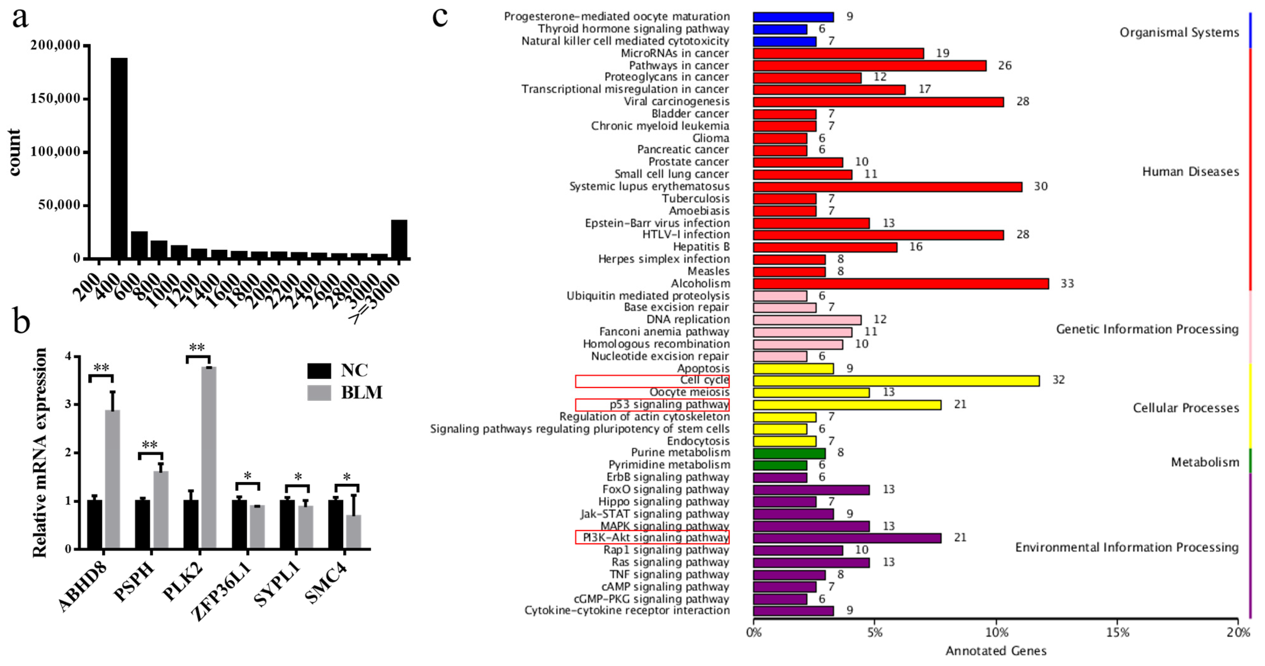 Genes 14 00290 g002