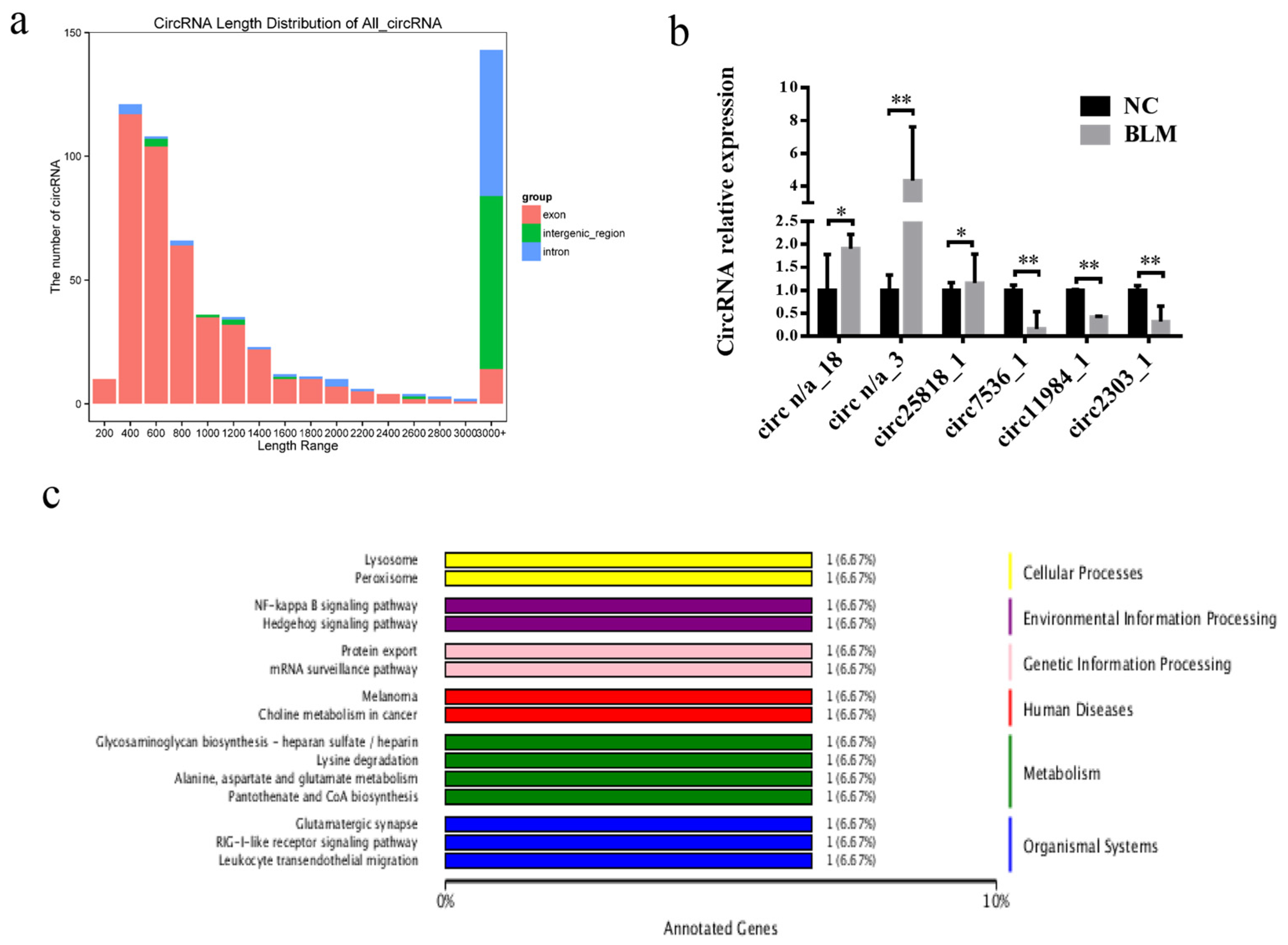 Genes 14 00290 g005