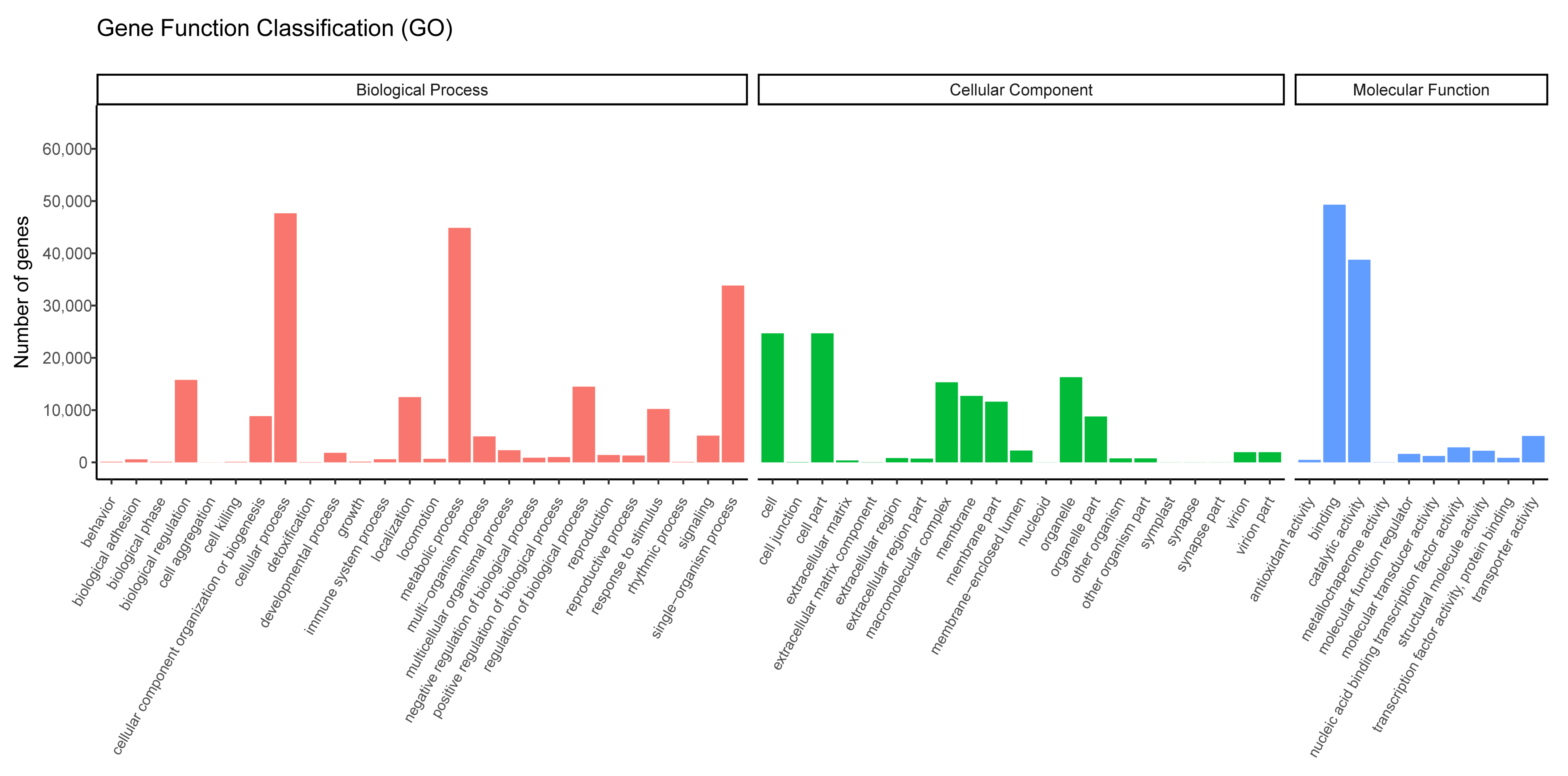 Genes 14 00302 g003 Genes 14 00302 g003