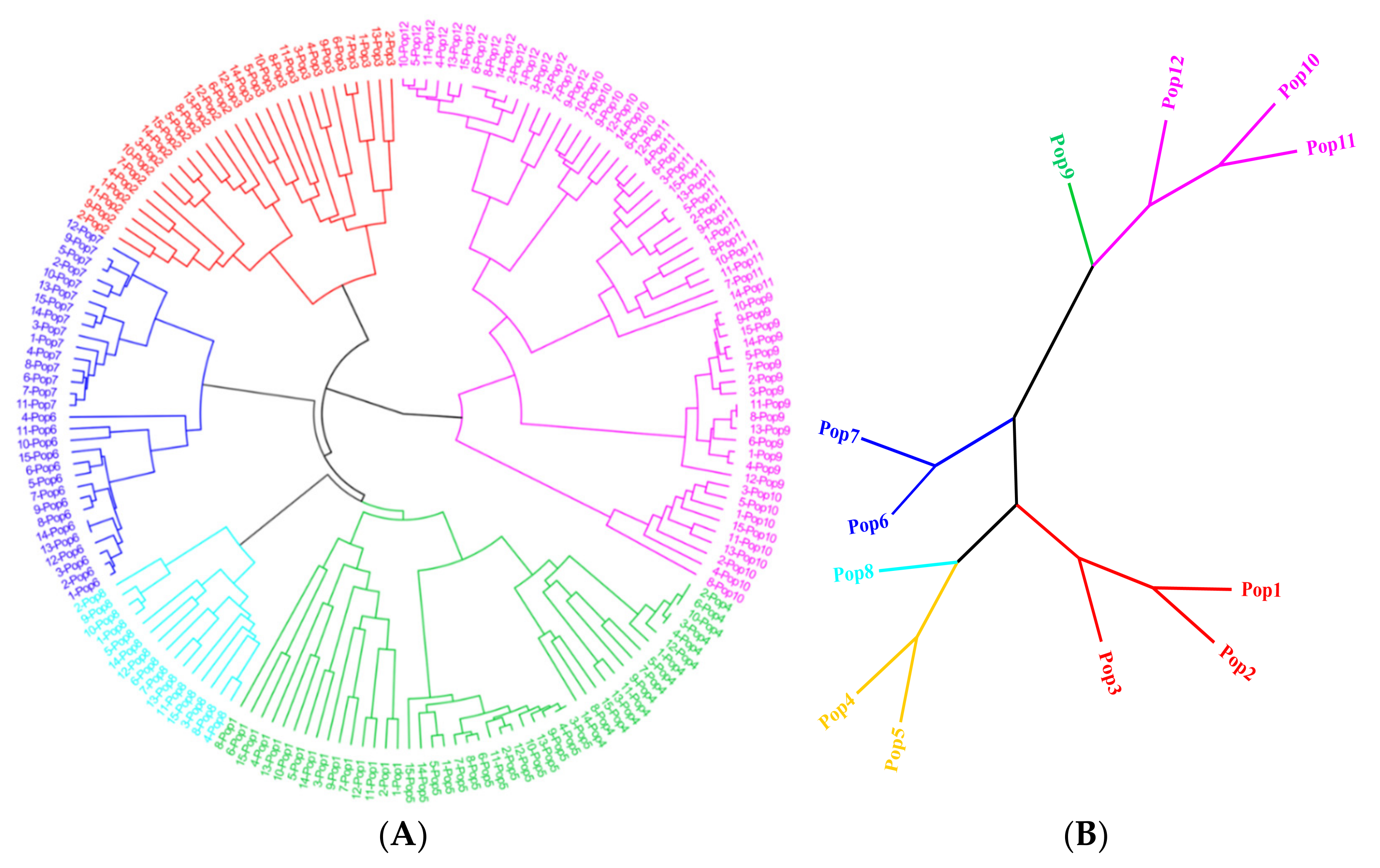 Genes 14 00302 g006 Genes 14 00302 g006