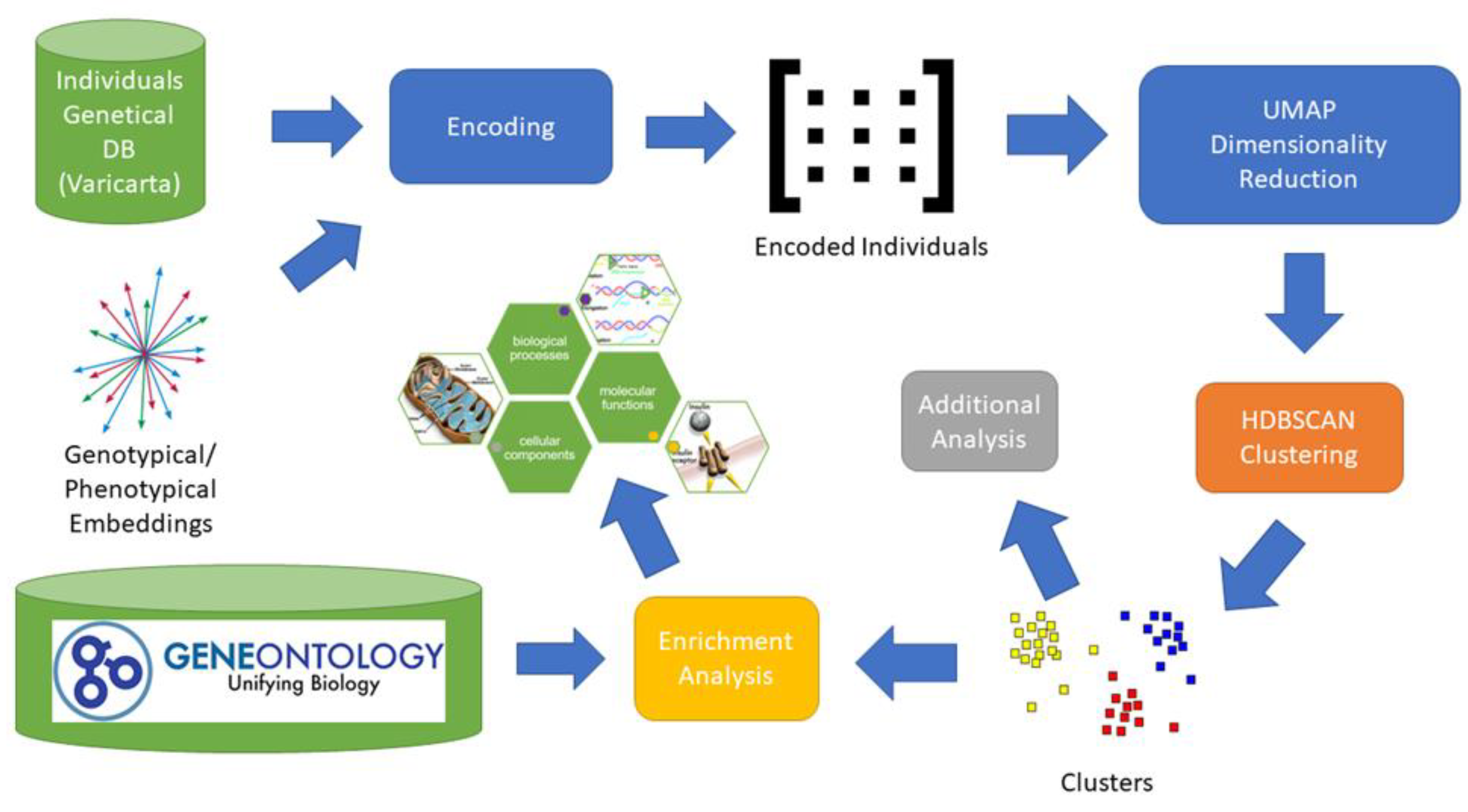 Genes 14 00313 g001 Genes 14 00313 g001