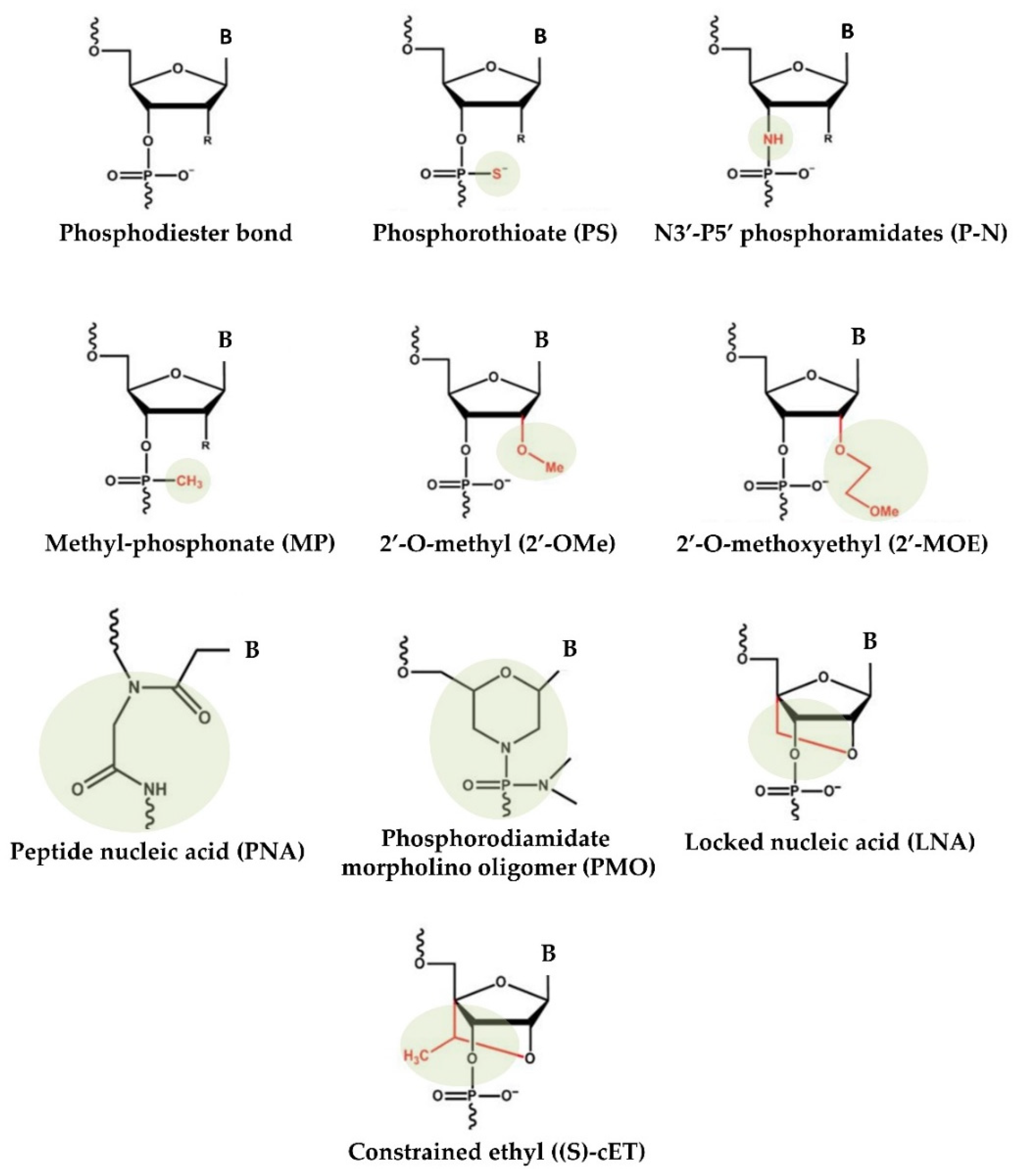 Genes 14 00314 g001 Genes 14 00314 g001