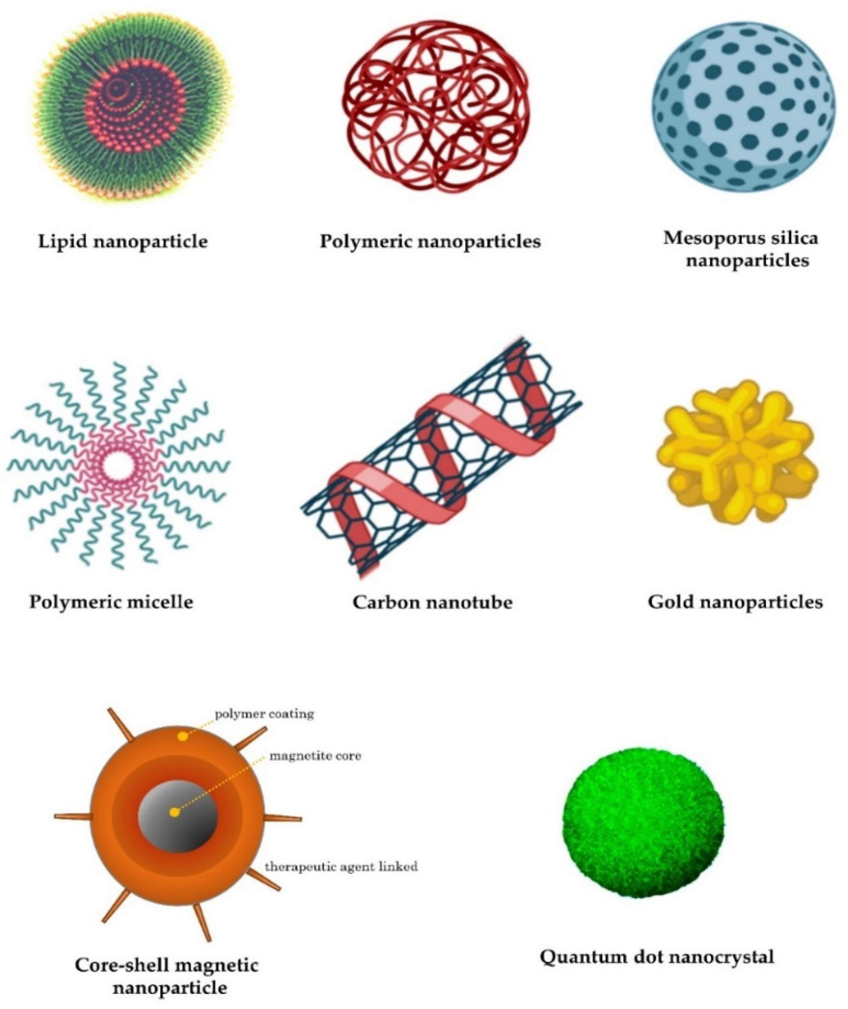 Genes 14 00314 g002 Genes 14 00314 g002