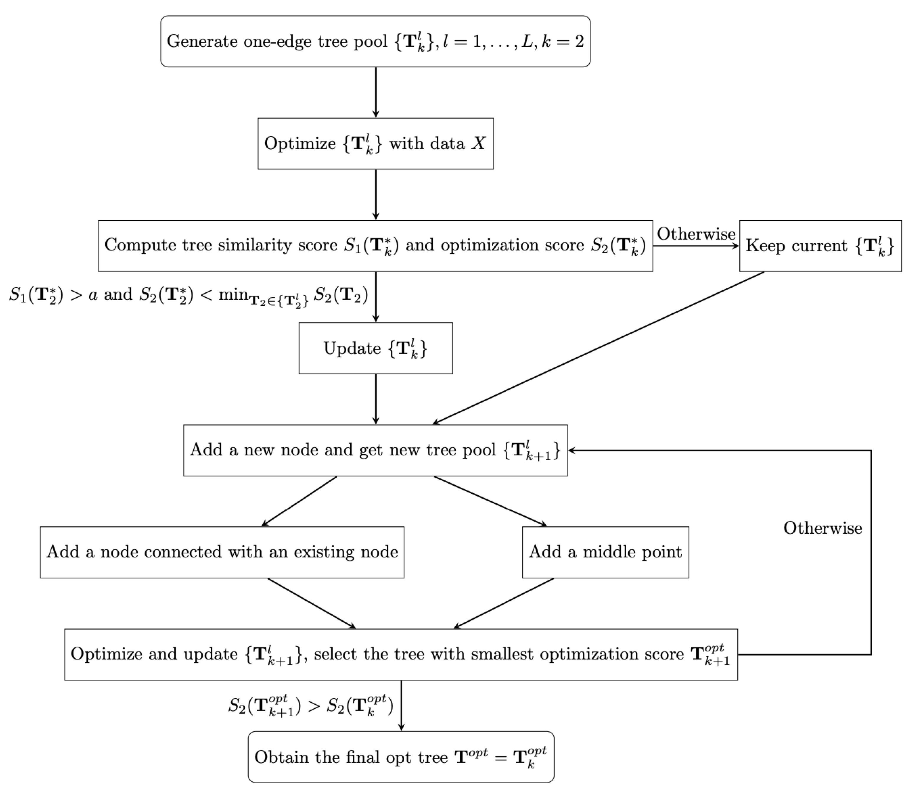 Genes 14 00318 g001 Genes 14 00318 g001