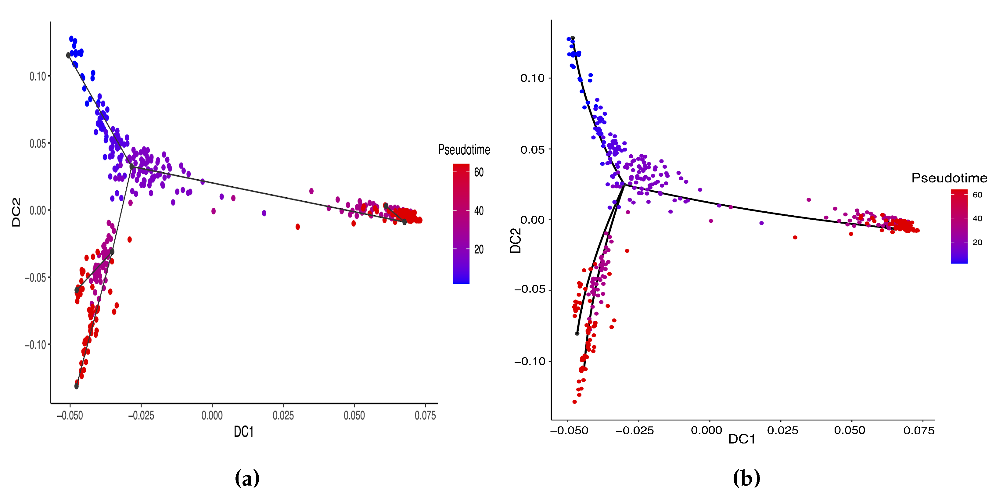Genes 14 00318 g006 Genes 14 00318 g006