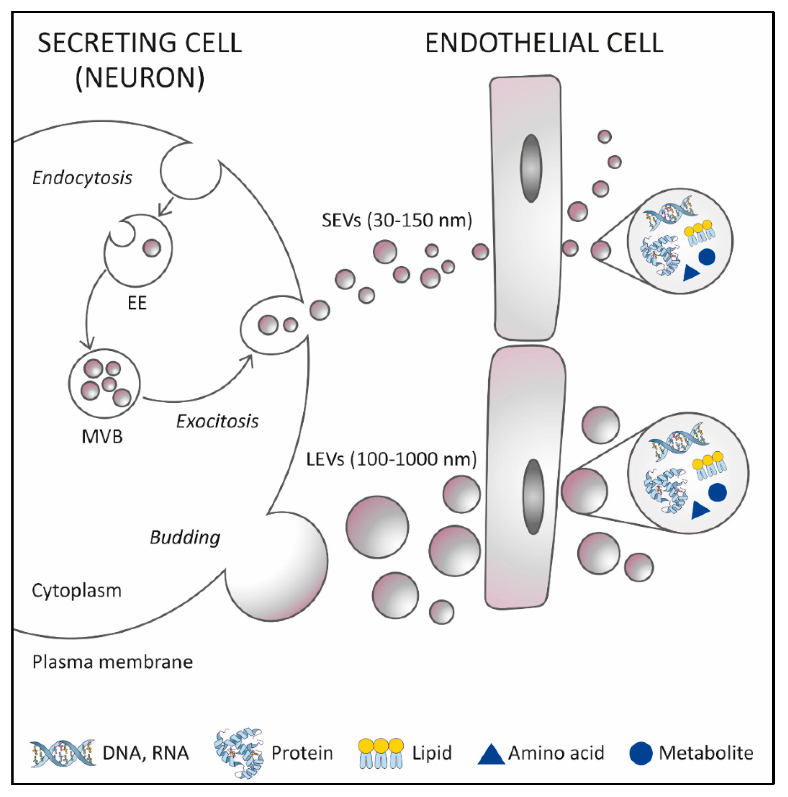 Genes 14 00325 g001 Genes 14 00325 g001