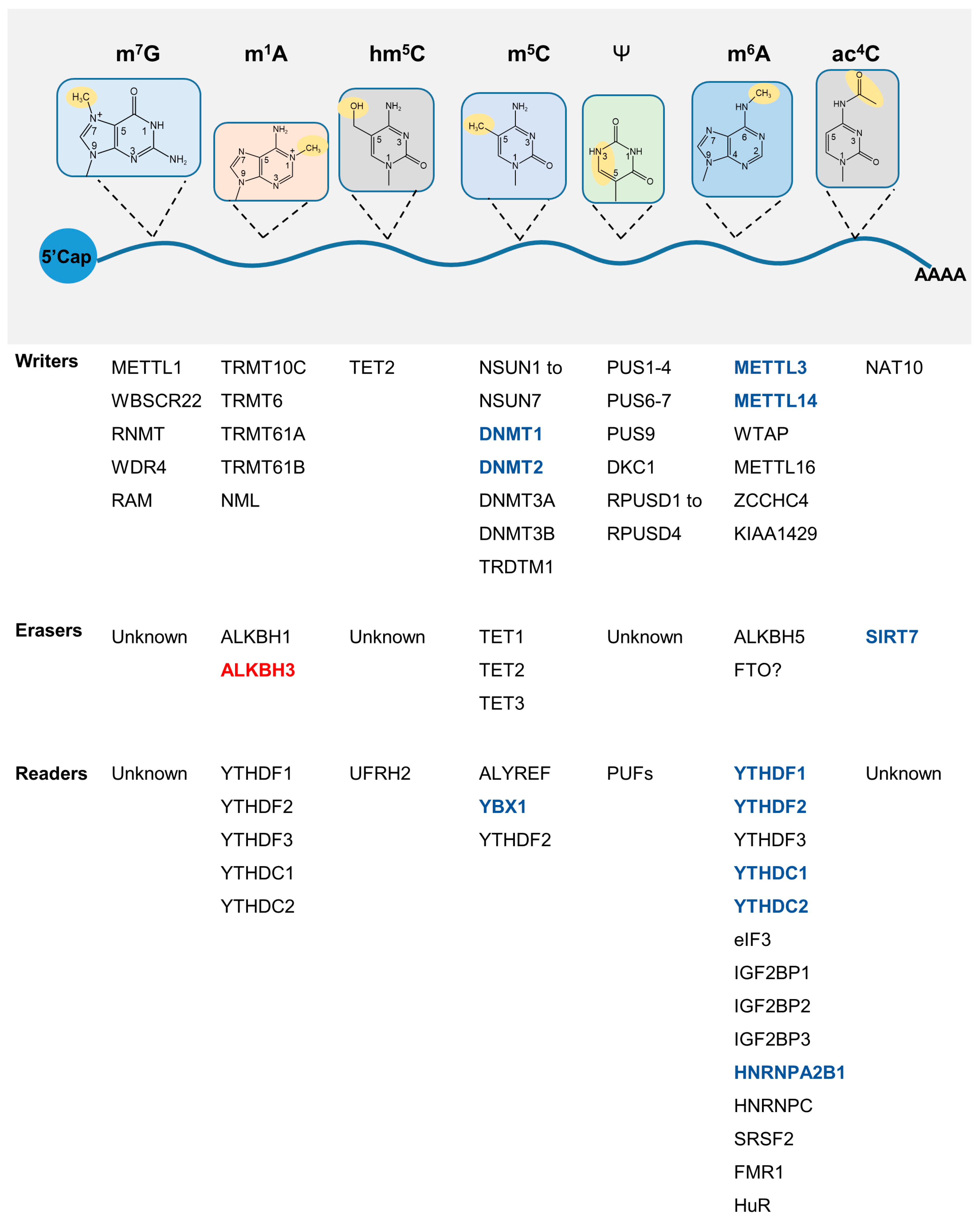 Genes 14 00329 g003