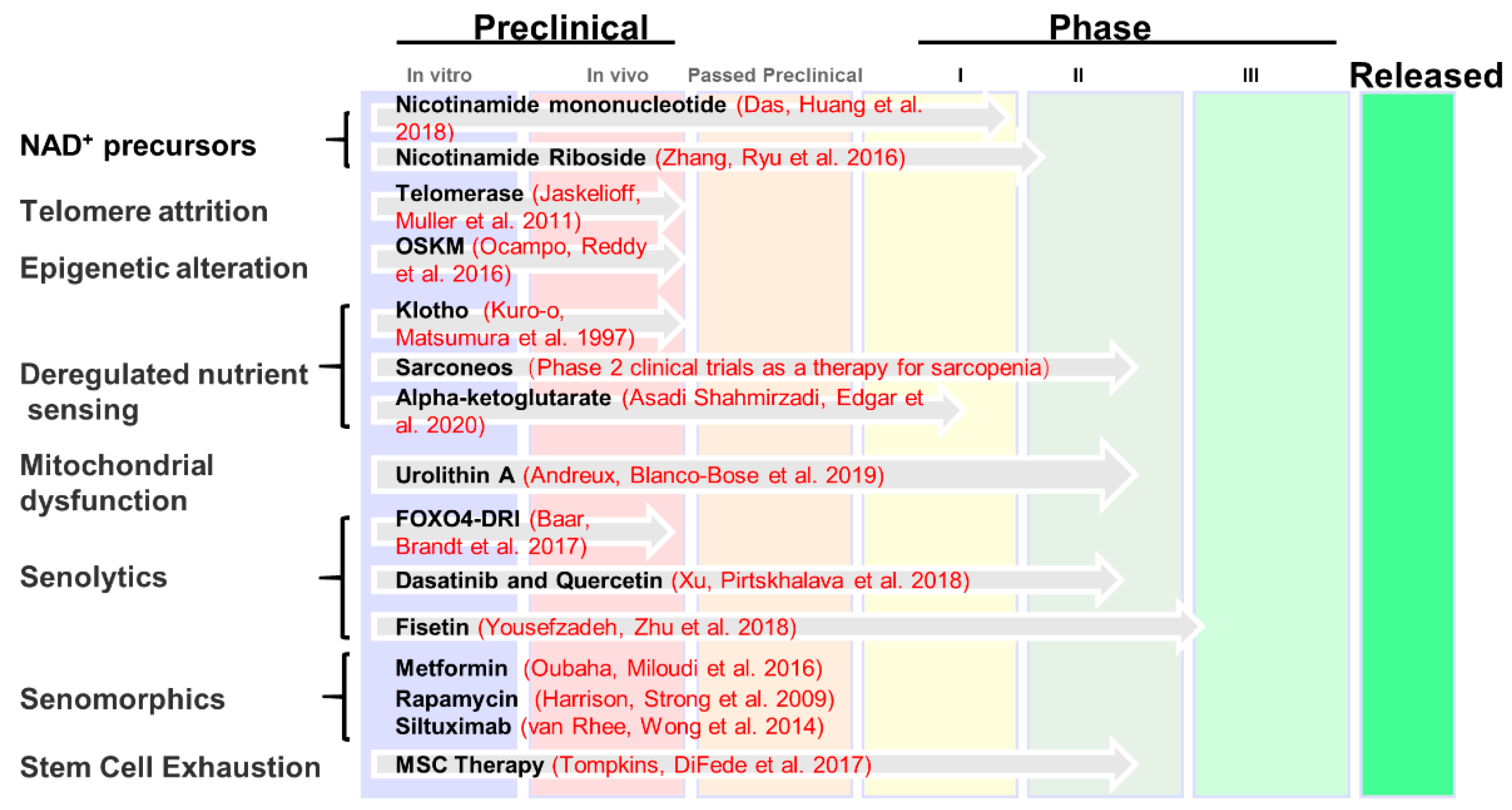Genes 14 00329 g004
