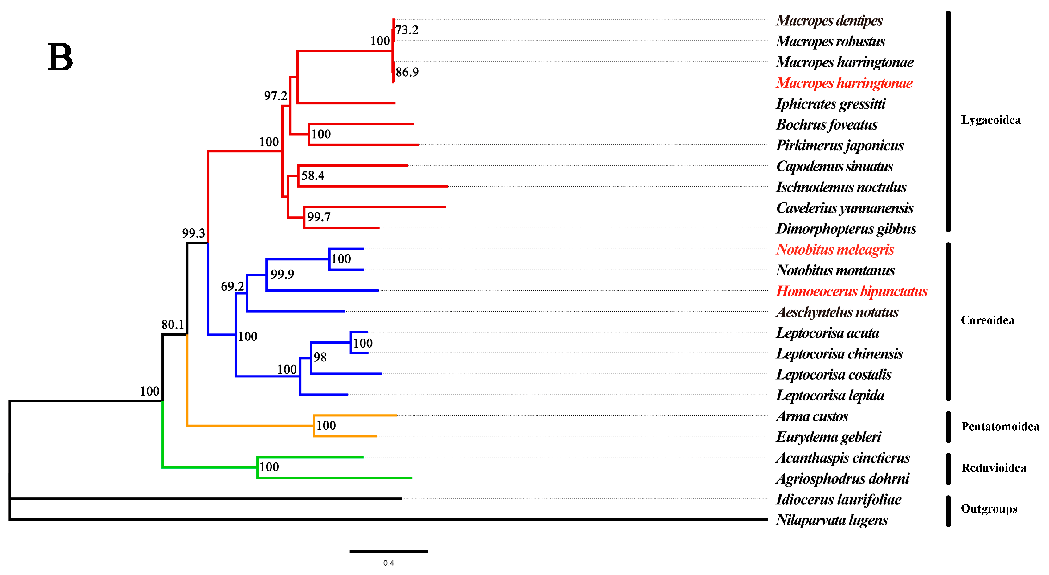 Genes 14 00342 g007b