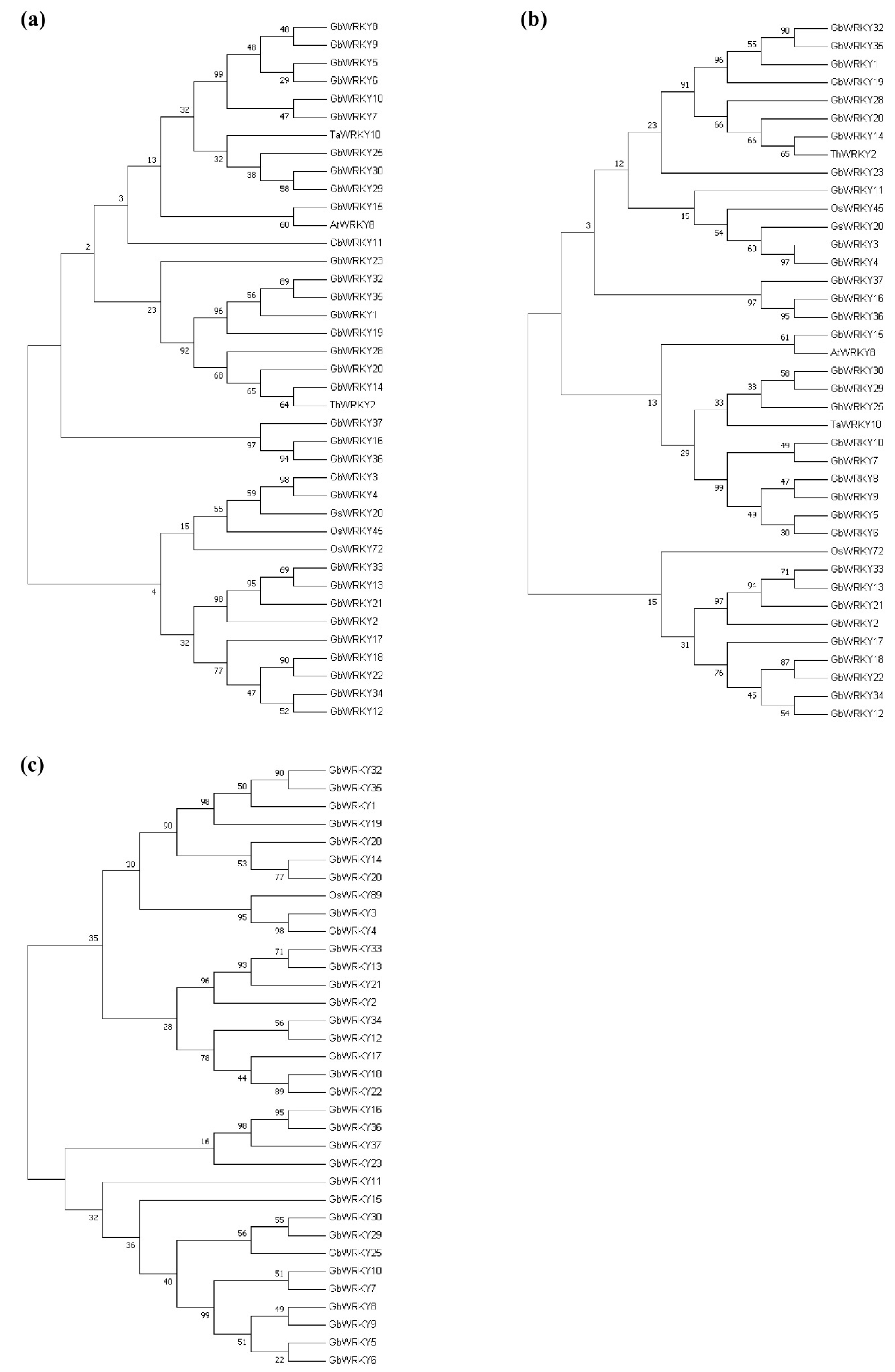 Genes 14 00343 g009 Genes 14 00343 g009
