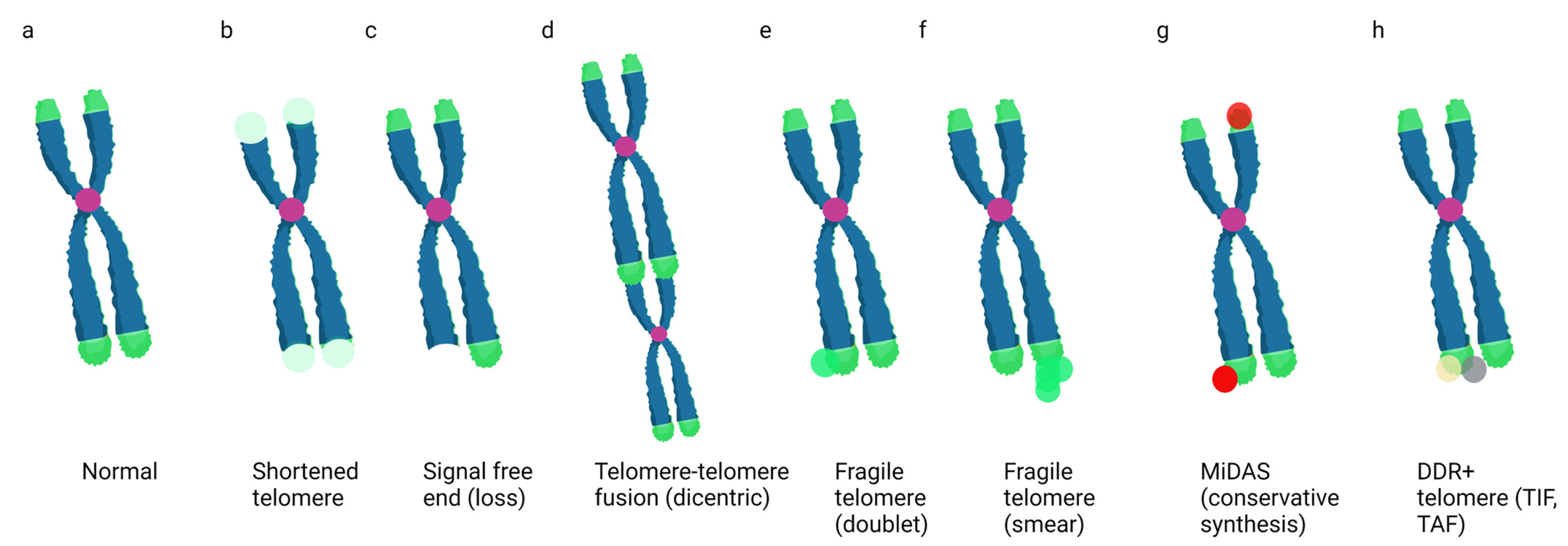 Genes 14 00348 g001 Genes 14 00348 g001