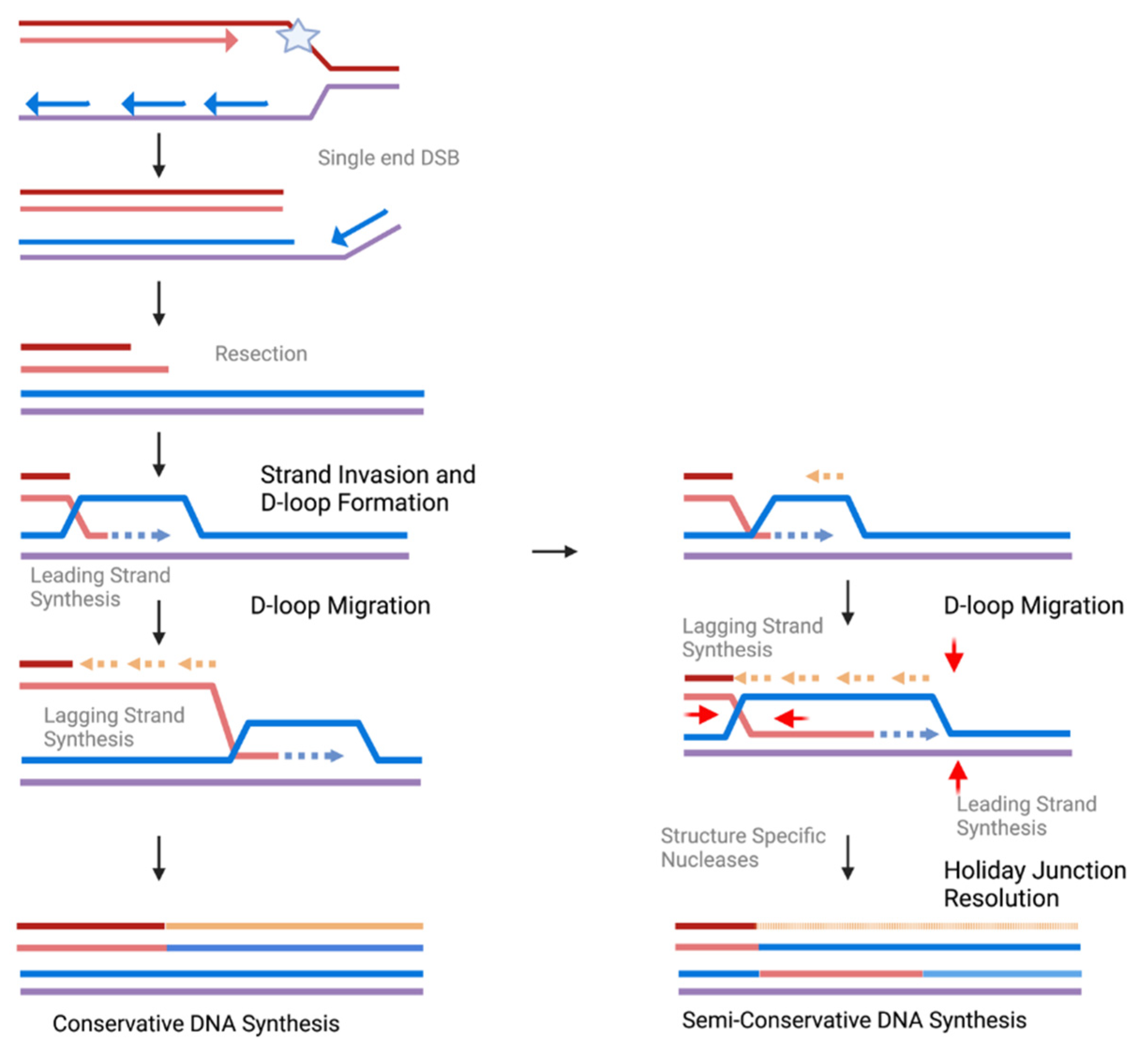 Genes 14 00348 g002 Genes 14 00348 g002