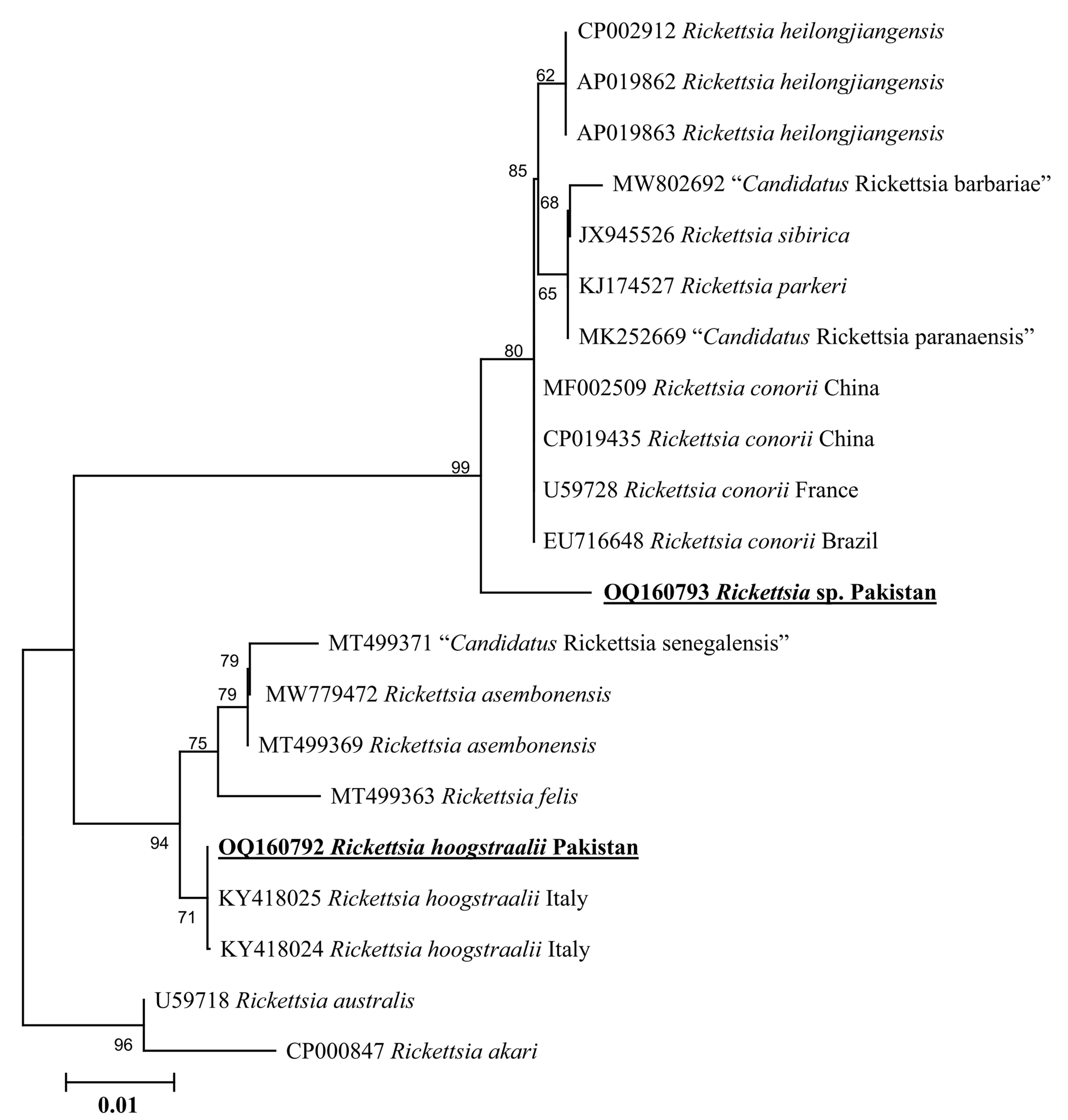 Genes 14 00360 g005 Genes 14 00360 g005