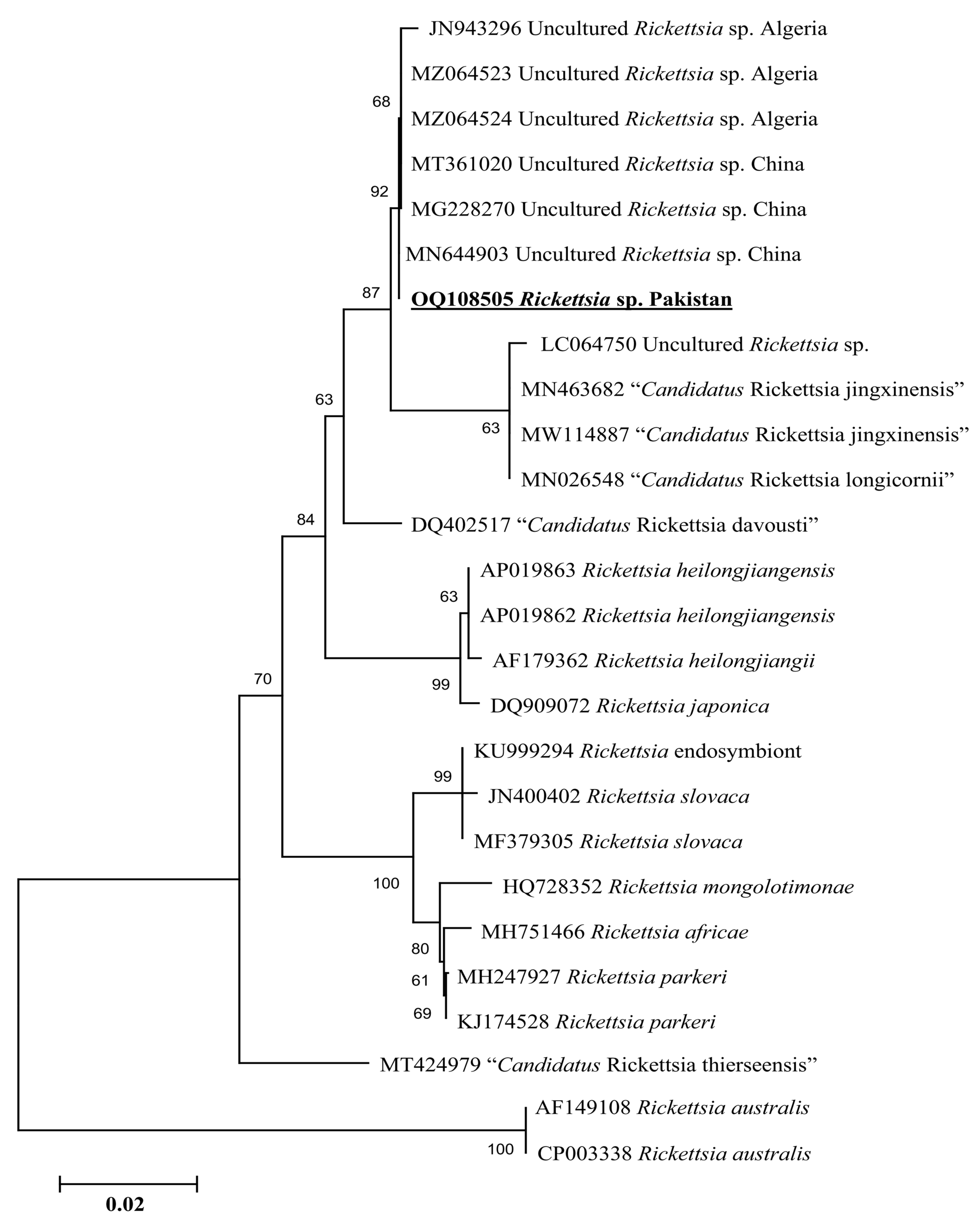 Genes 14 00360 g006 Genes 14 00360 g006