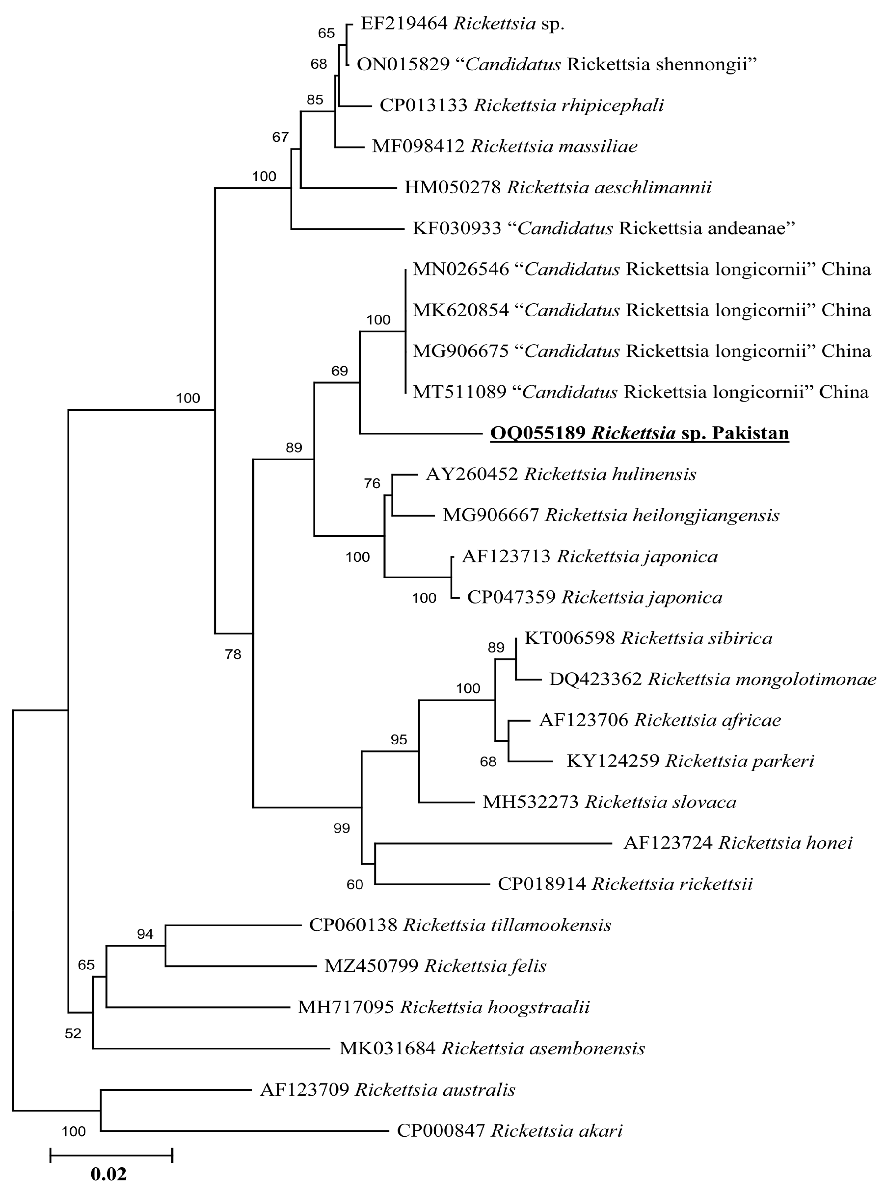 Genes 14 00360 g007 Genes 14 00360 g007