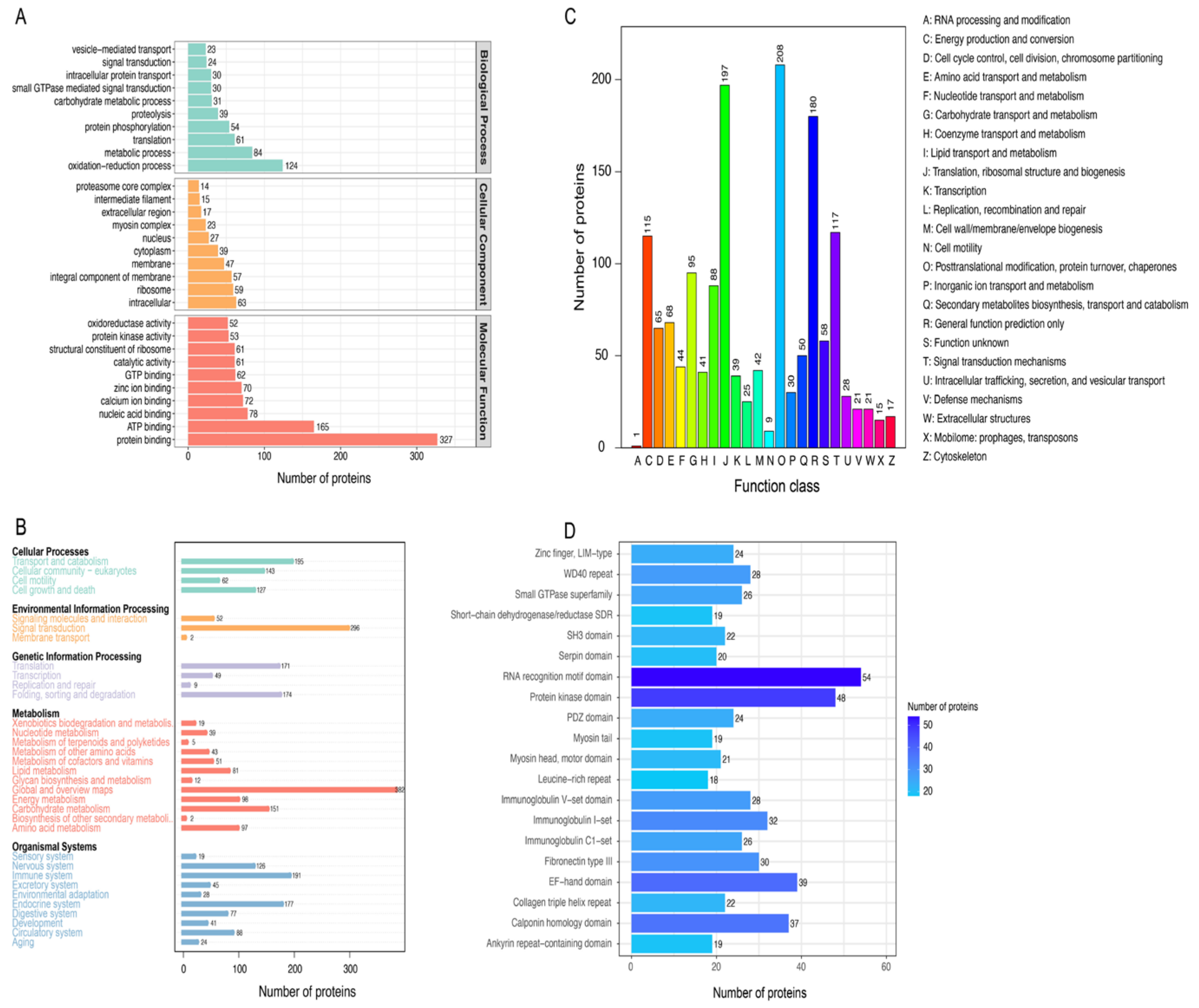 Genes 14 00361 g002 Genes 14 00361 g002