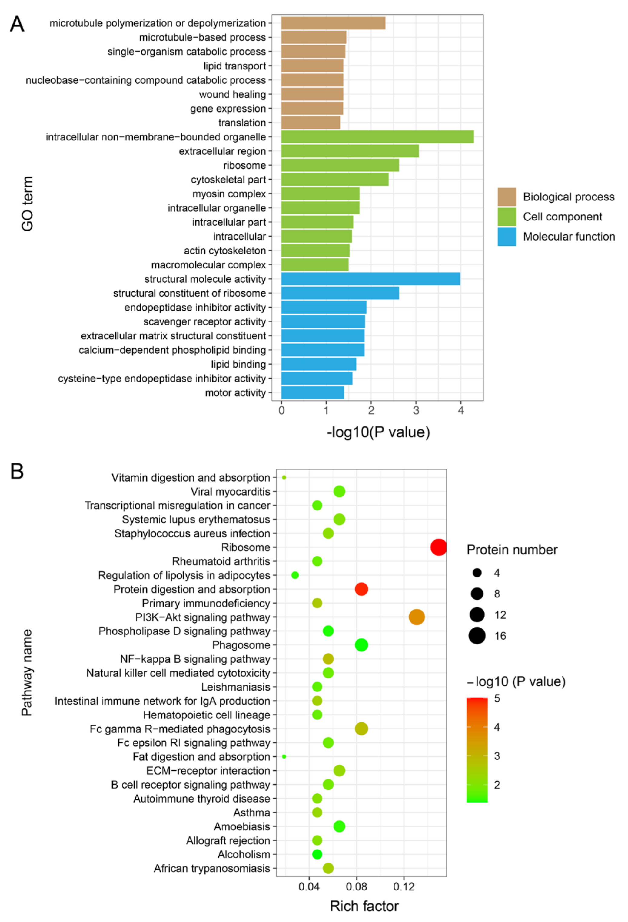 Genes 14 00361 g004 Genes 14 00361 g004