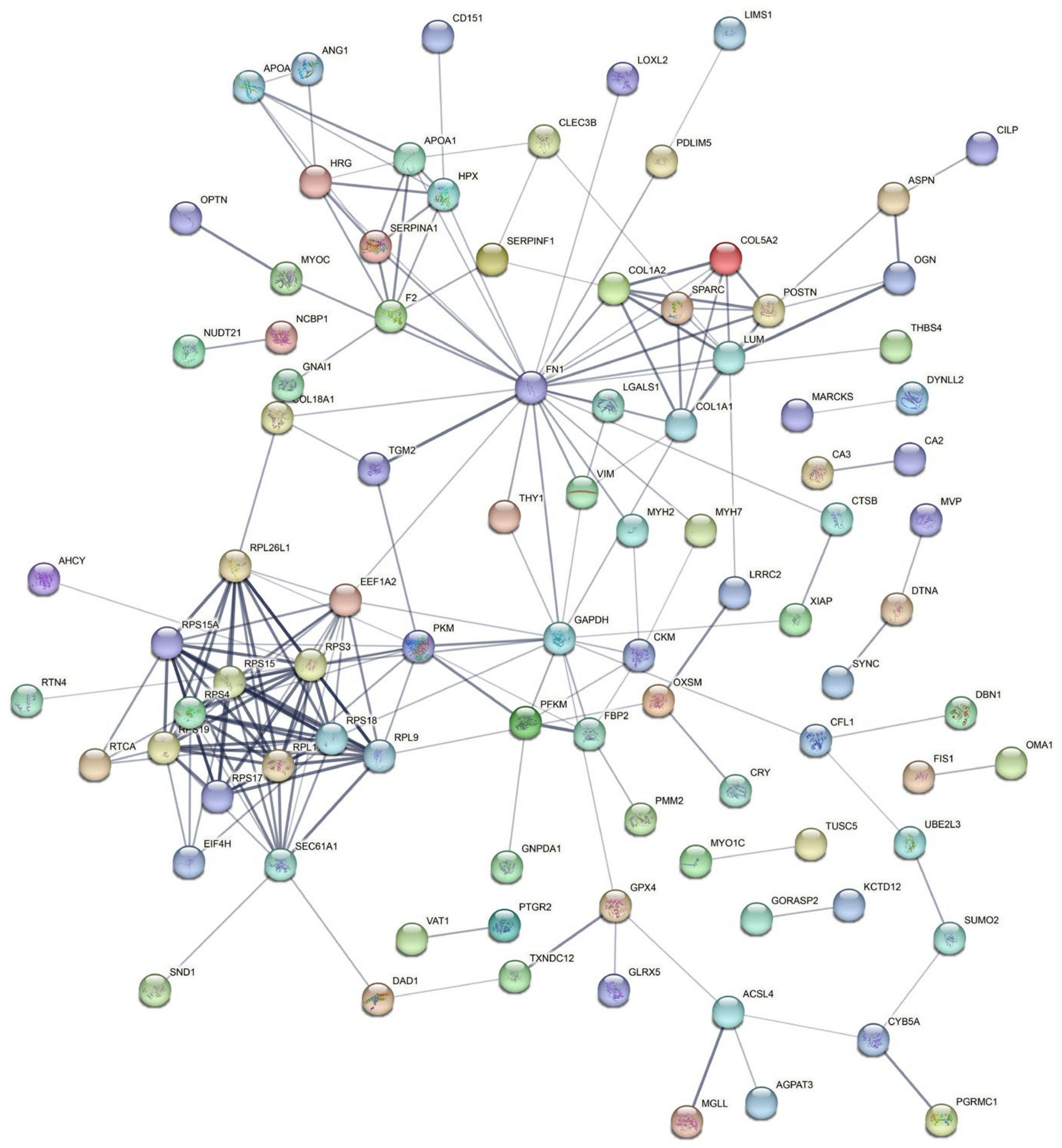 Genes 14 00361 g005 Genes 14 00361 g005