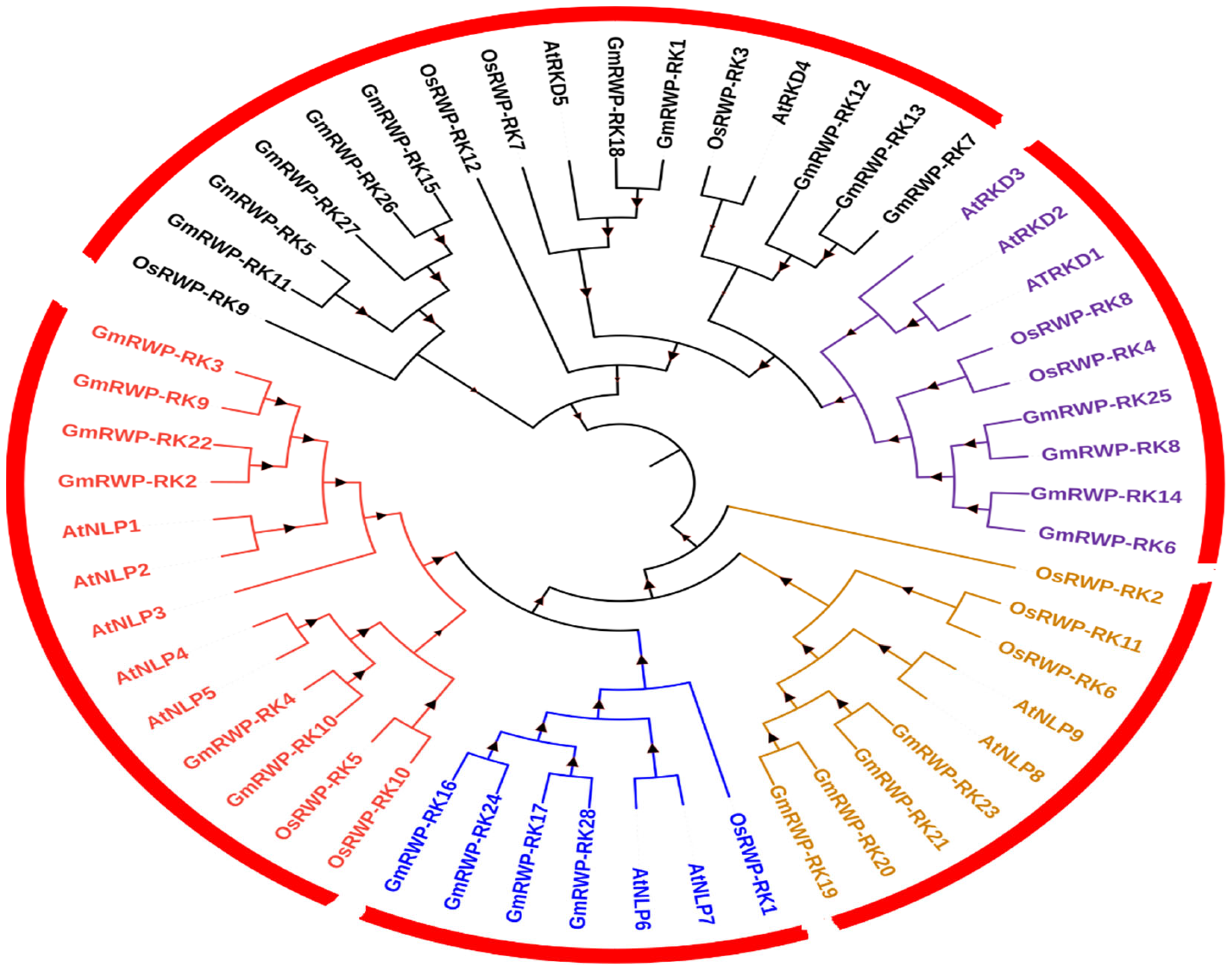 Genes 14 00369 g001 Genes 14 00369 g001