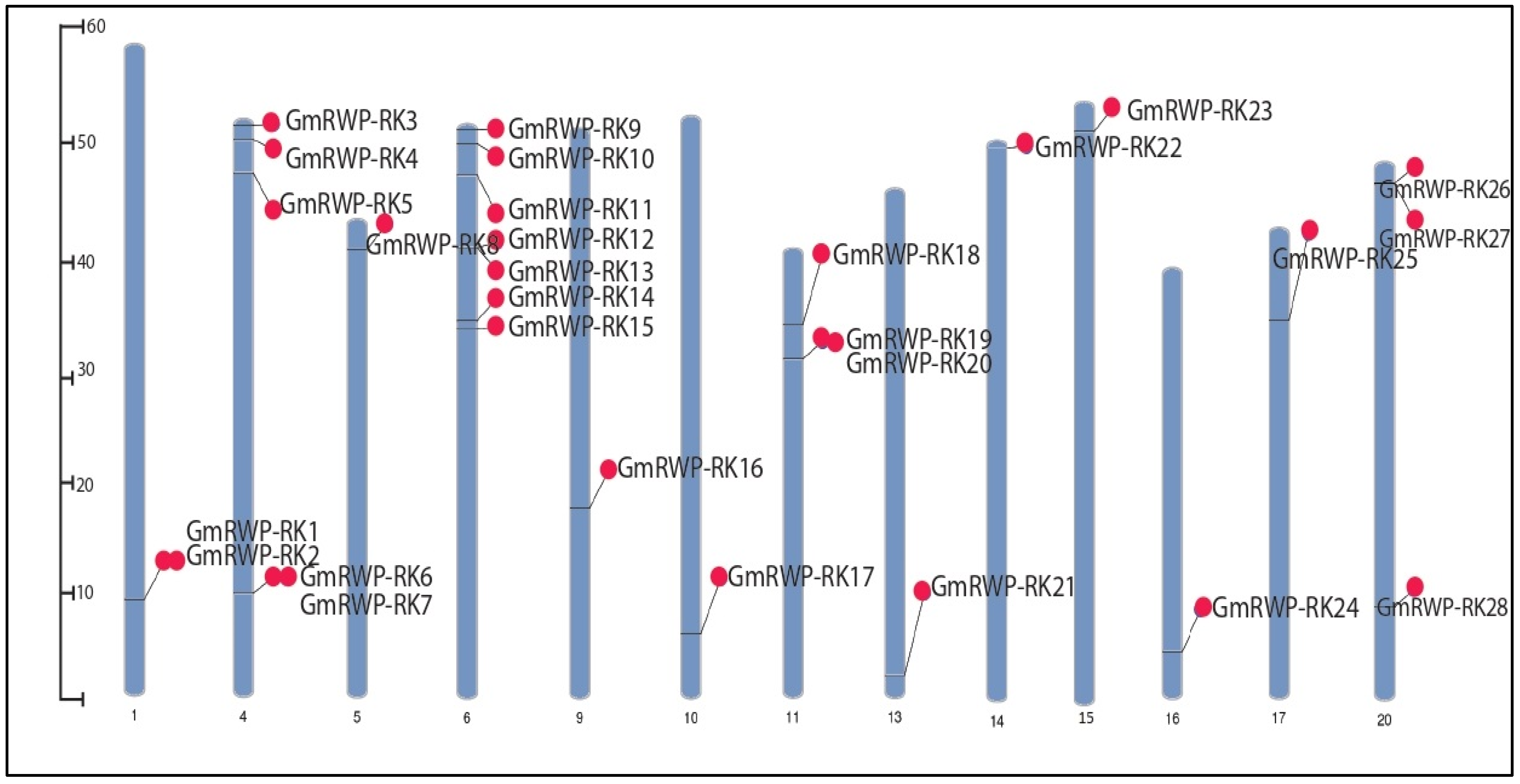 Genes 14 00369 g002 Genes 14 00369 g002