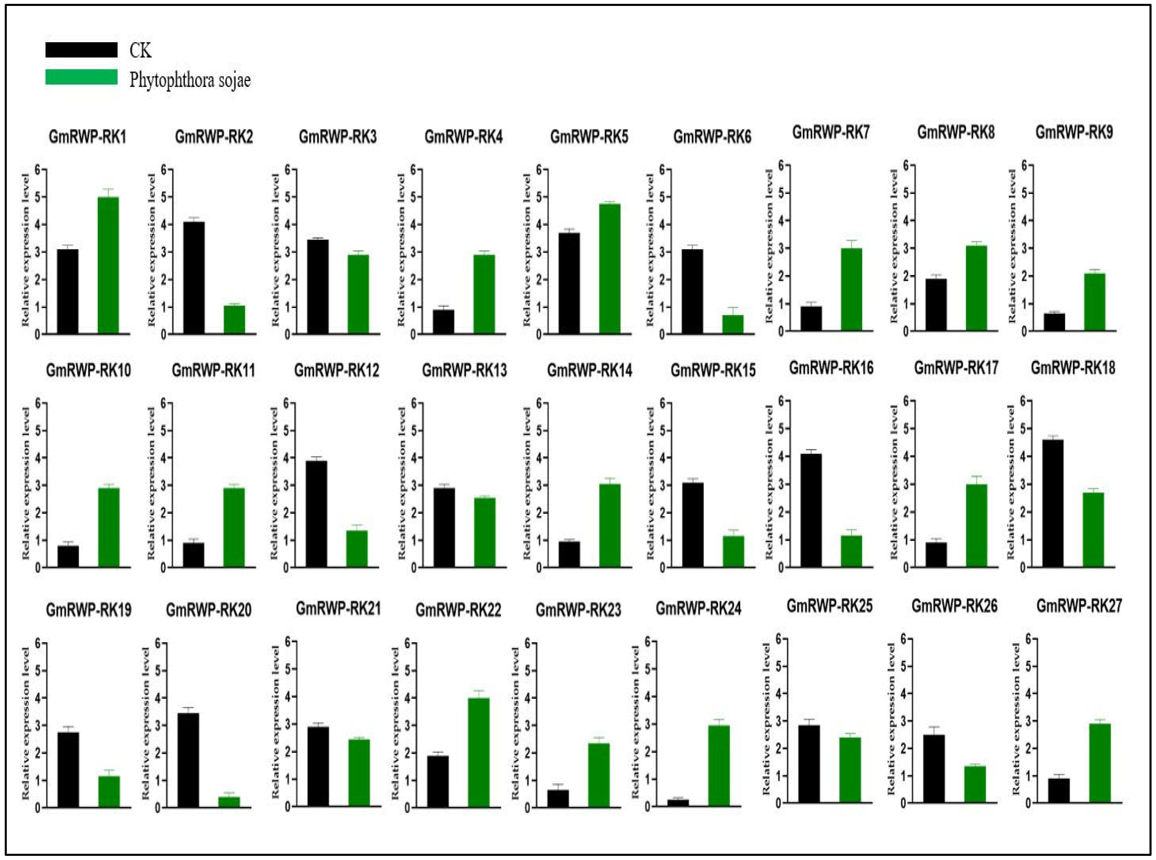Genes 14 00369 g007 Genes 14 00369 g007