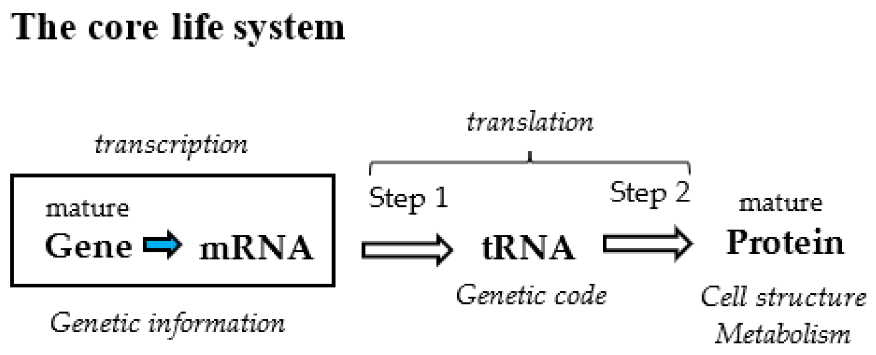 Genes 14 00375 g001