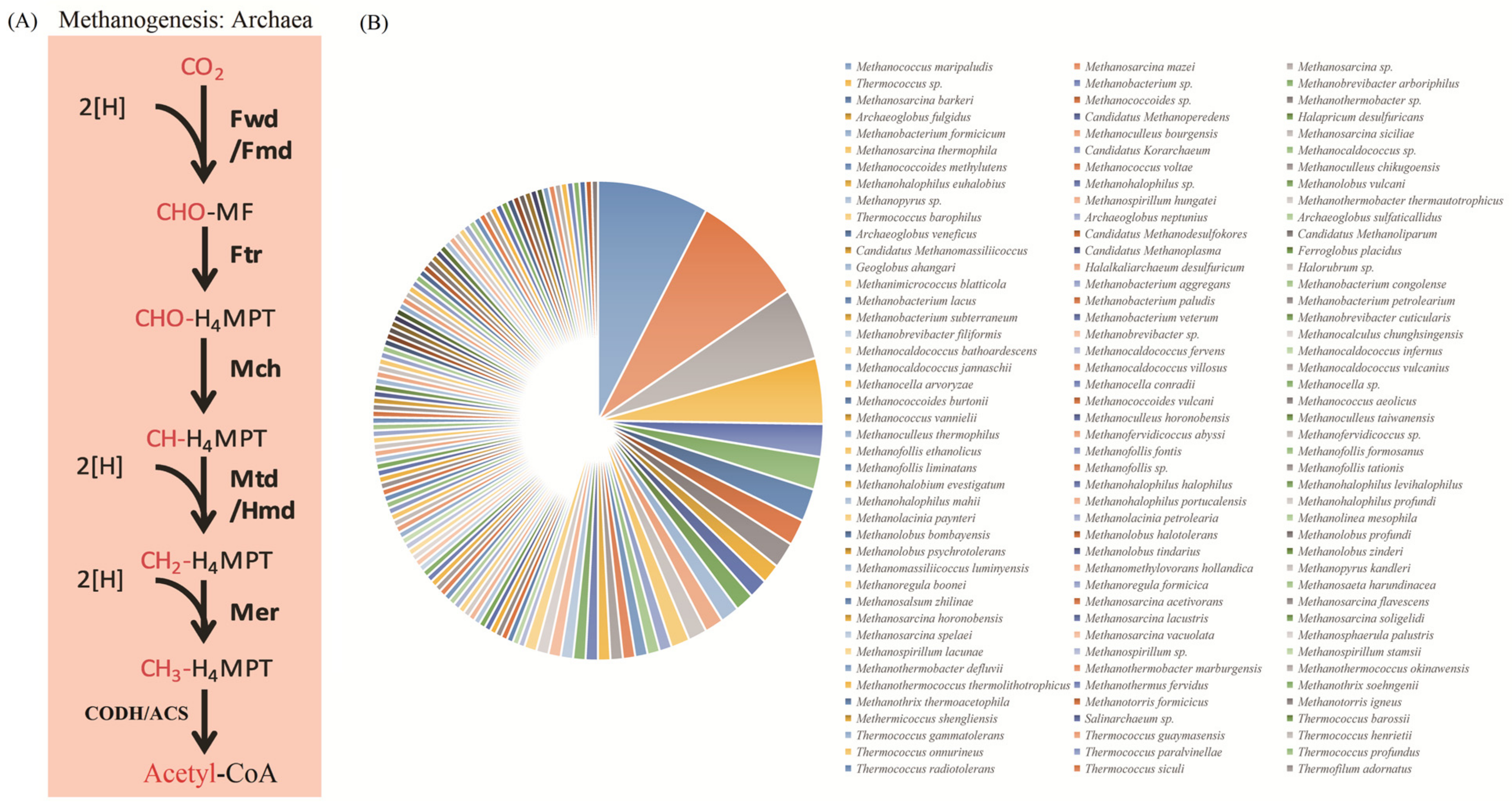 Genes 14 00386 g004