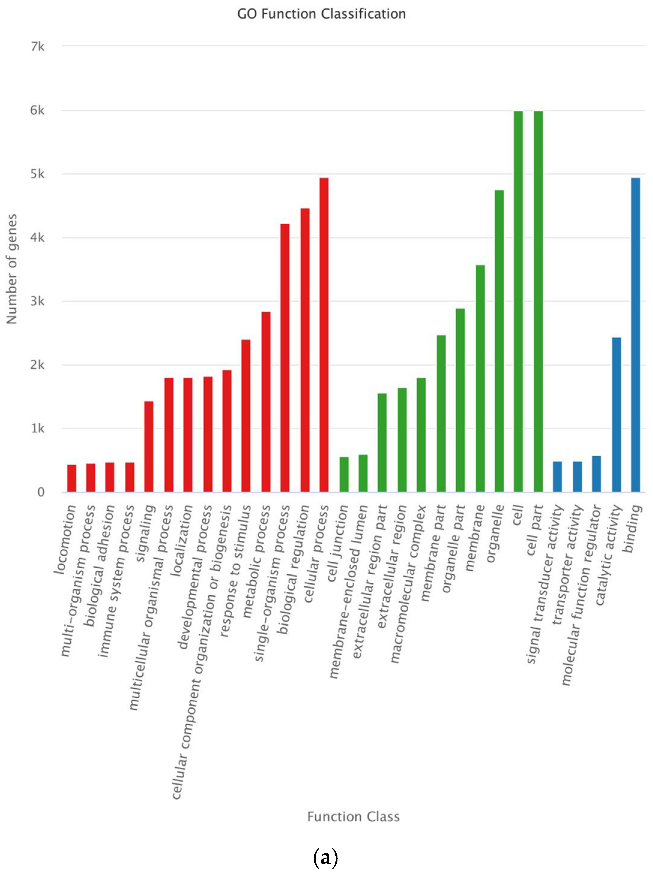 Genes 14 00424 g004a