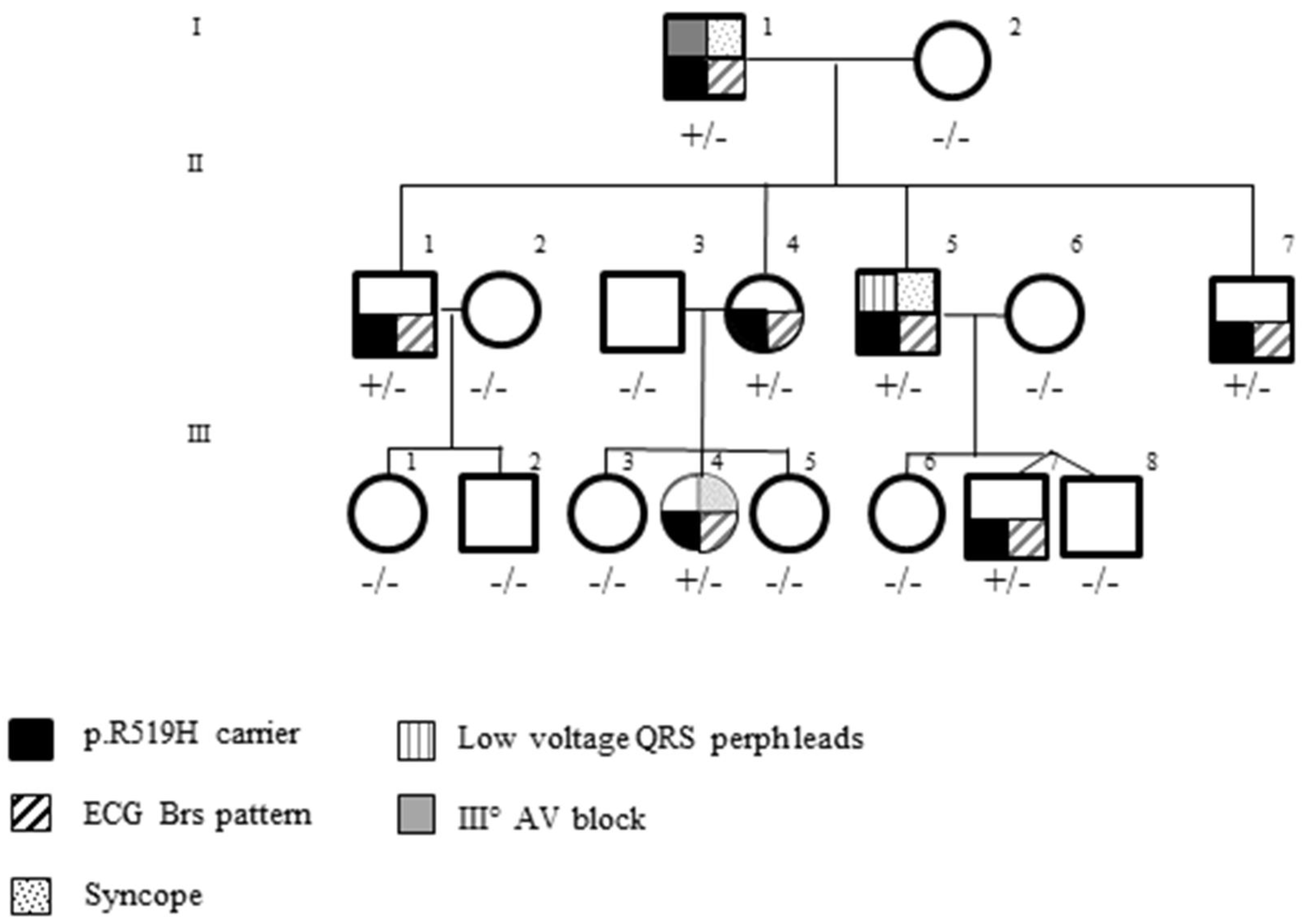 Genes 14 00427 g004