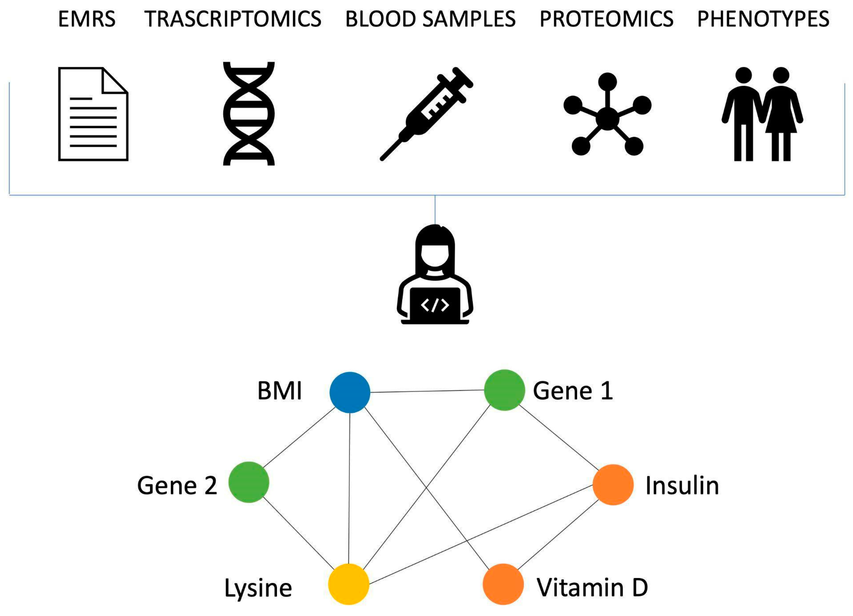 Genes 14 00429 g001