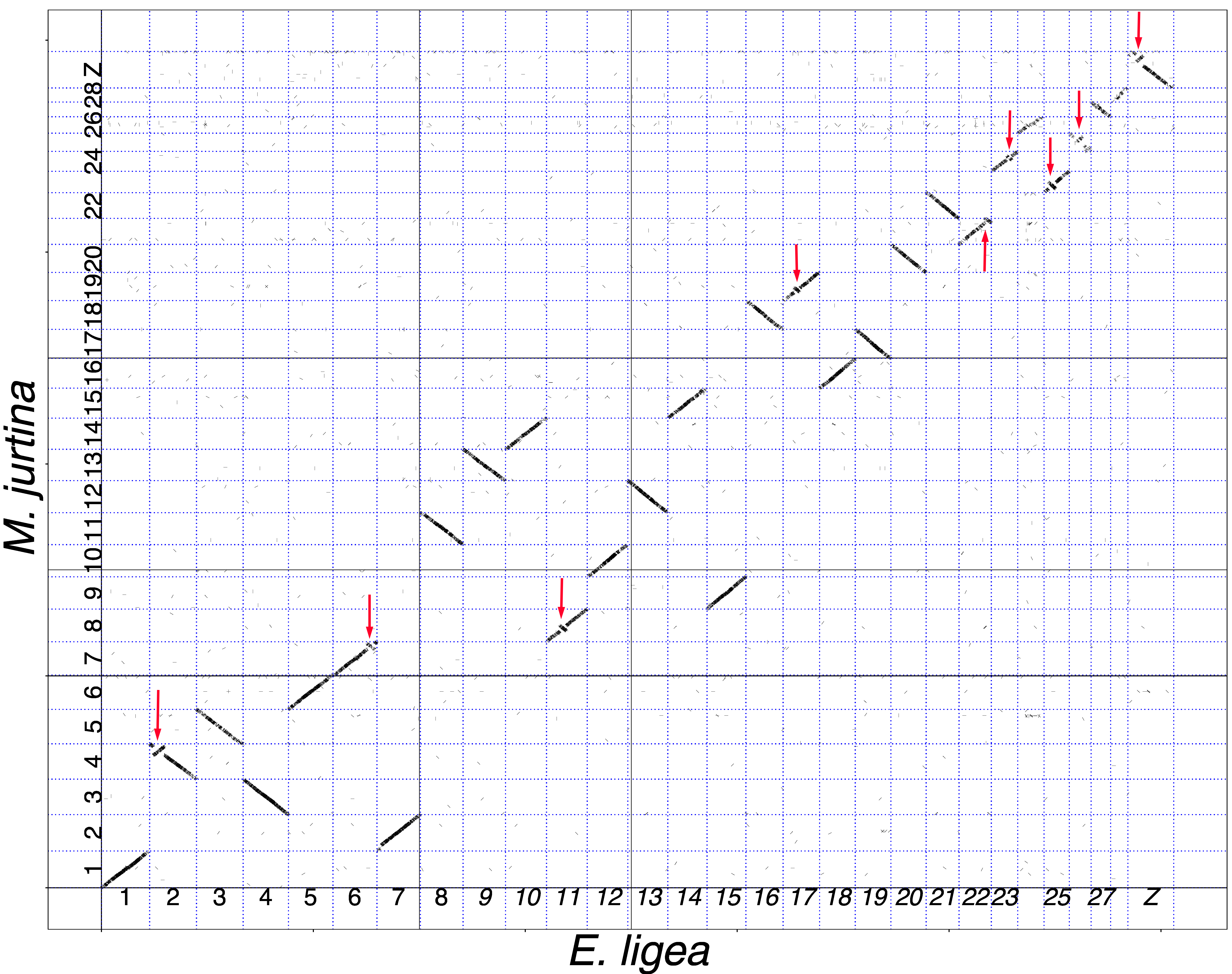 Genes 14 00437 g001 Genes 14 00437 g001