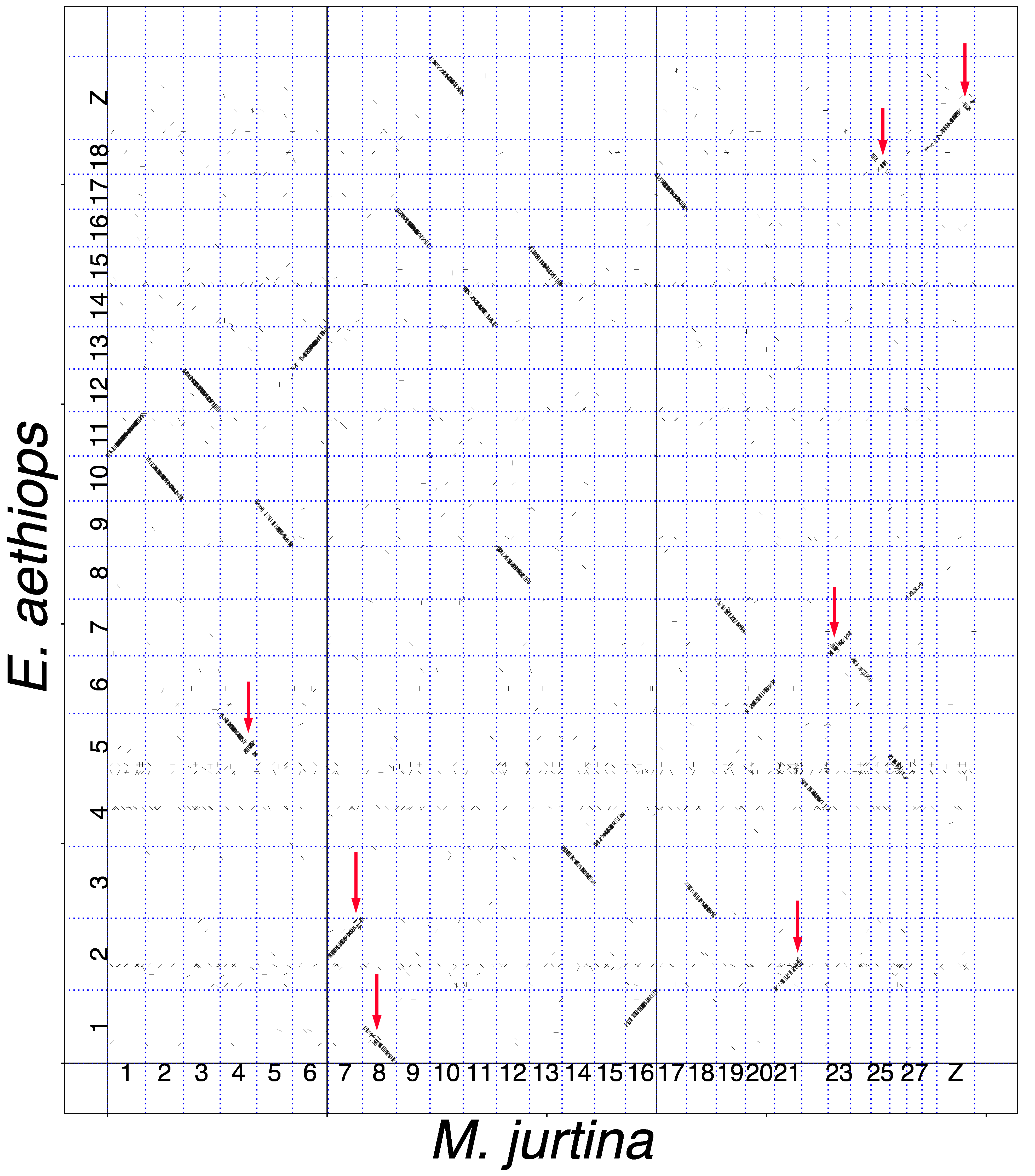 Genes 14 00437 g002 Genes 14 00437 g002