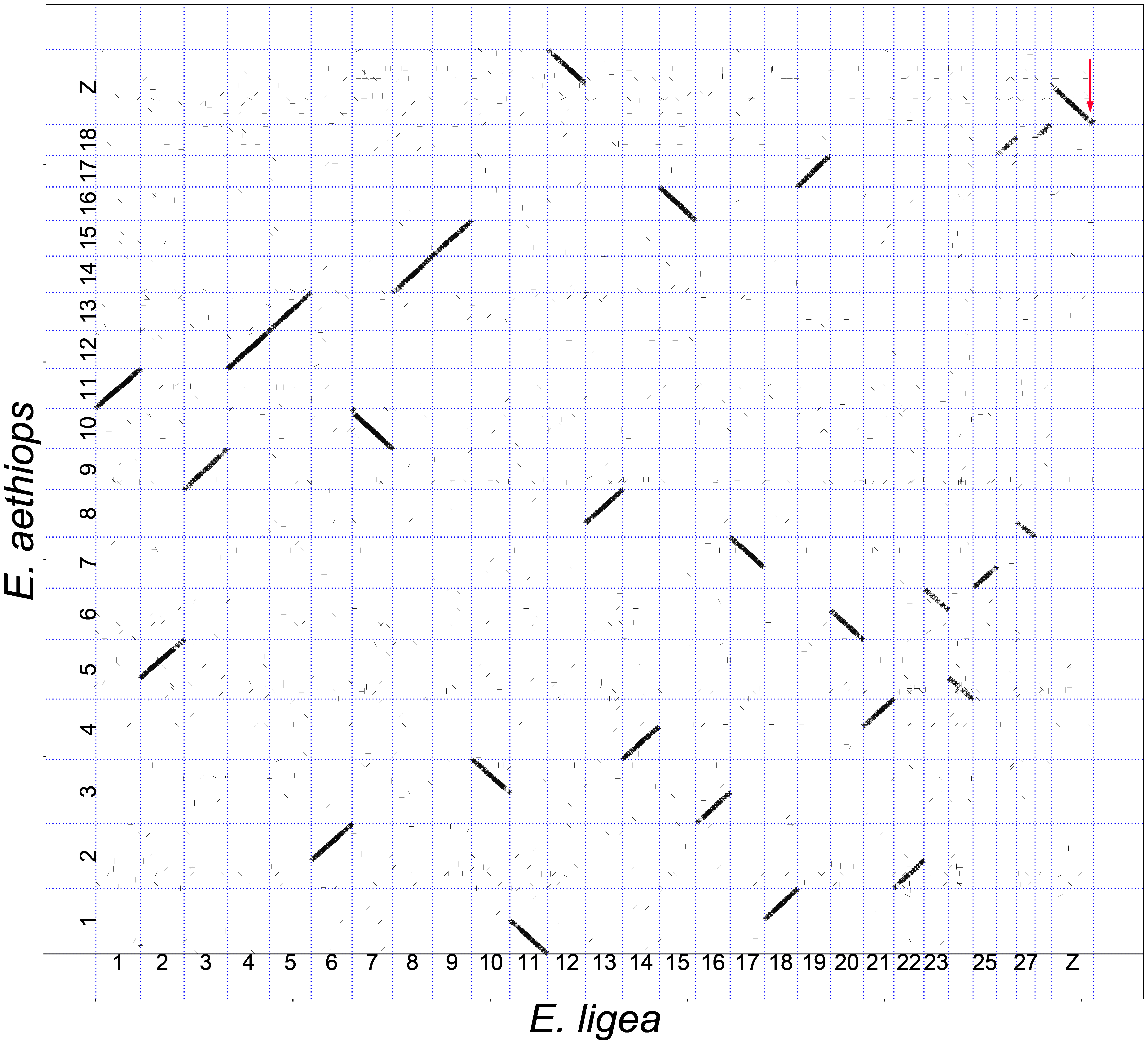 Genes 14 00437 g003 Genes 14 00437 g003