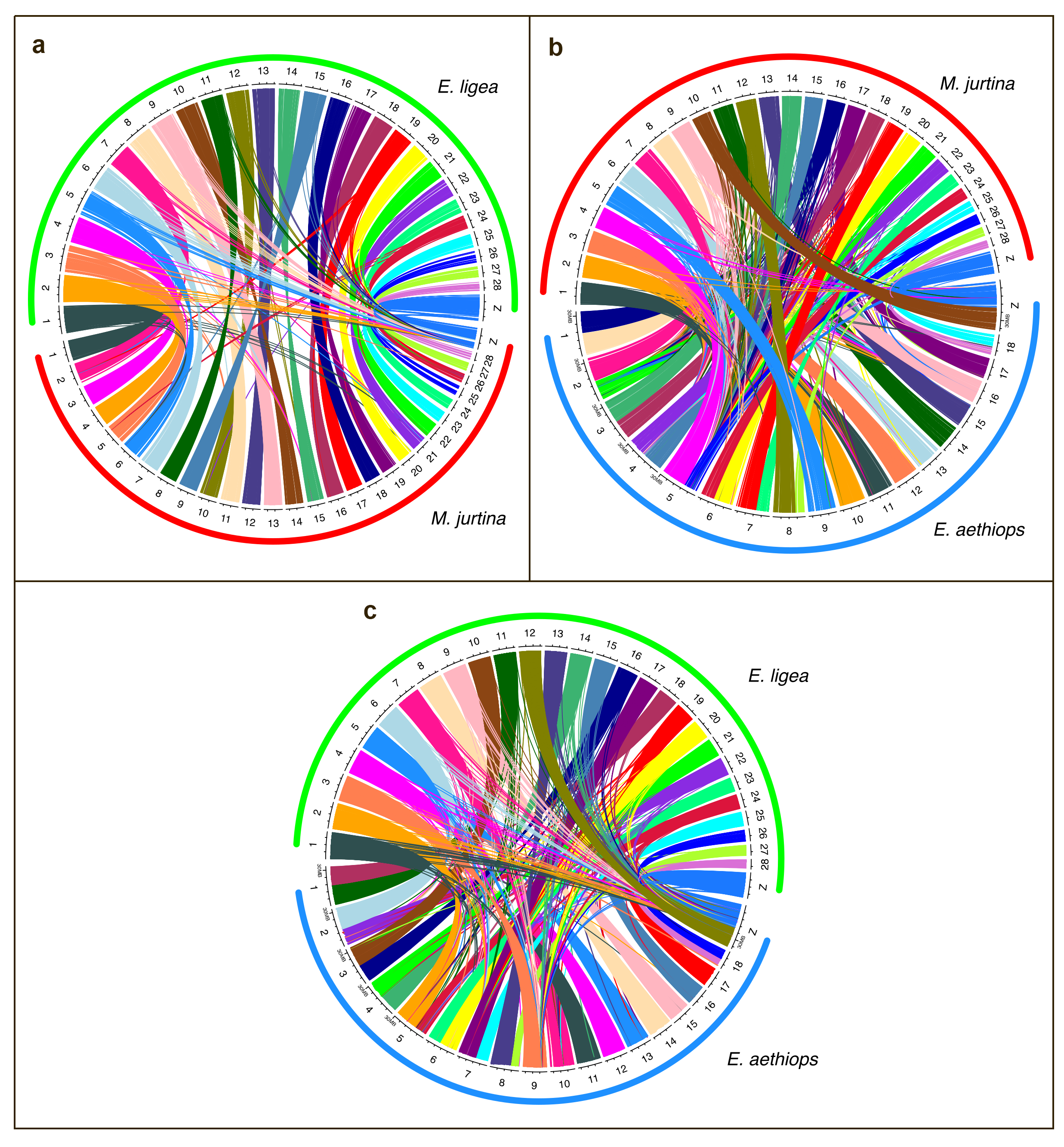 Genes 14 00437 g004 Genes 14 00437 g004