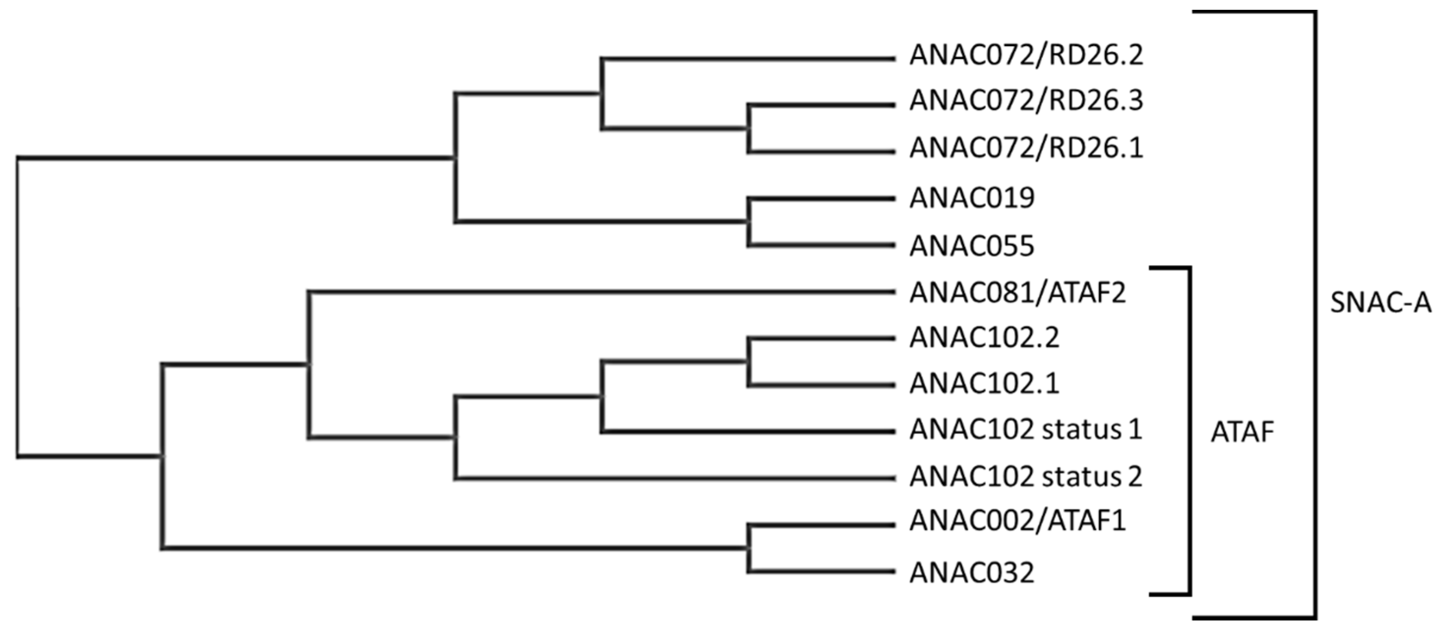 Genes 14 00438 g001