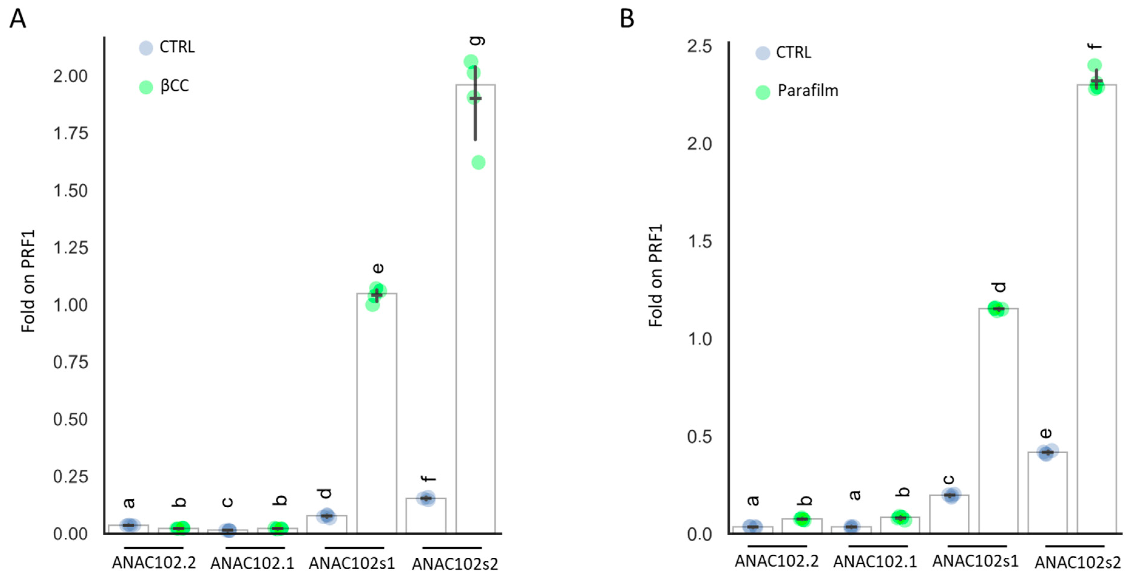 Genes 14 00438 g004