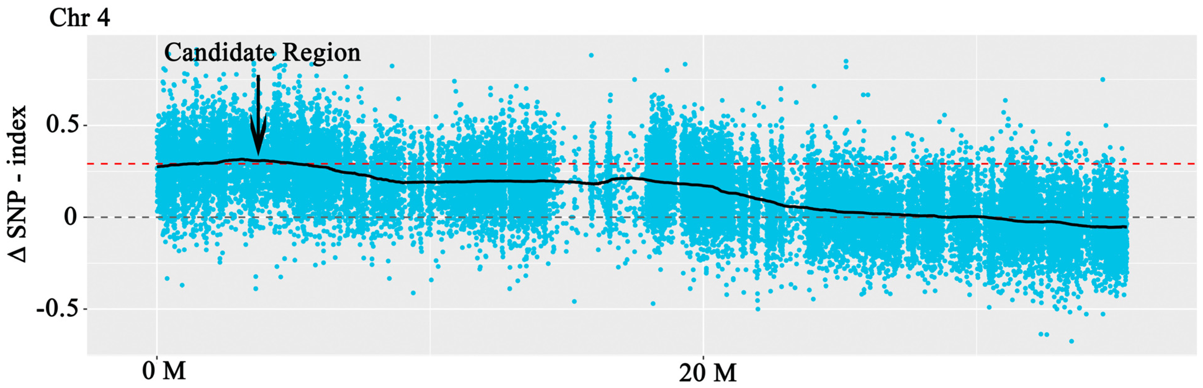 Genes 14 00458 g004 Genes 14 00458 g004