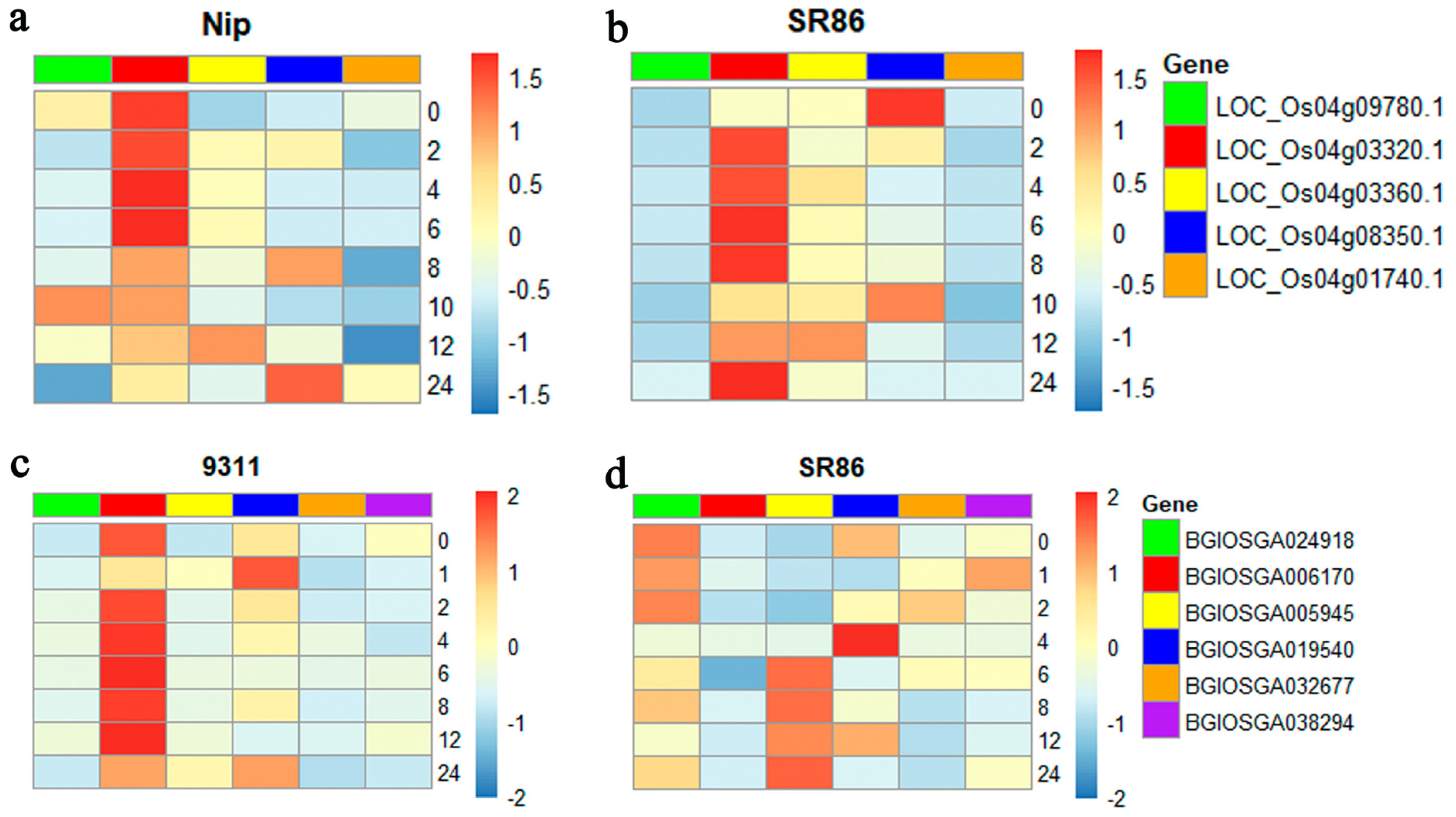 Genes 14 00458 g007 Genes 14 00458 g007