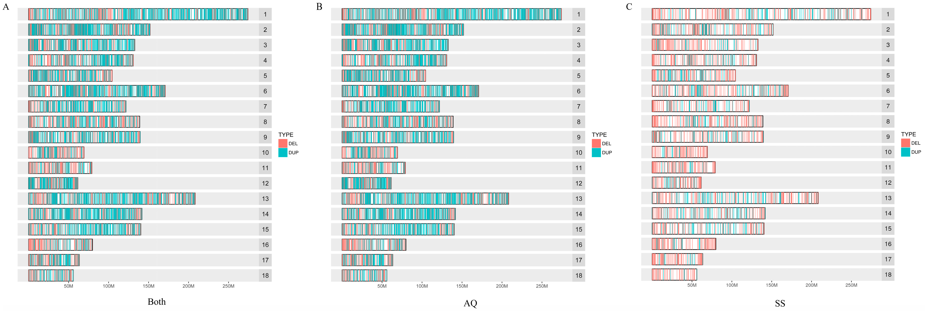 Genes 14 00472 g001 Genes 14 00472 g001