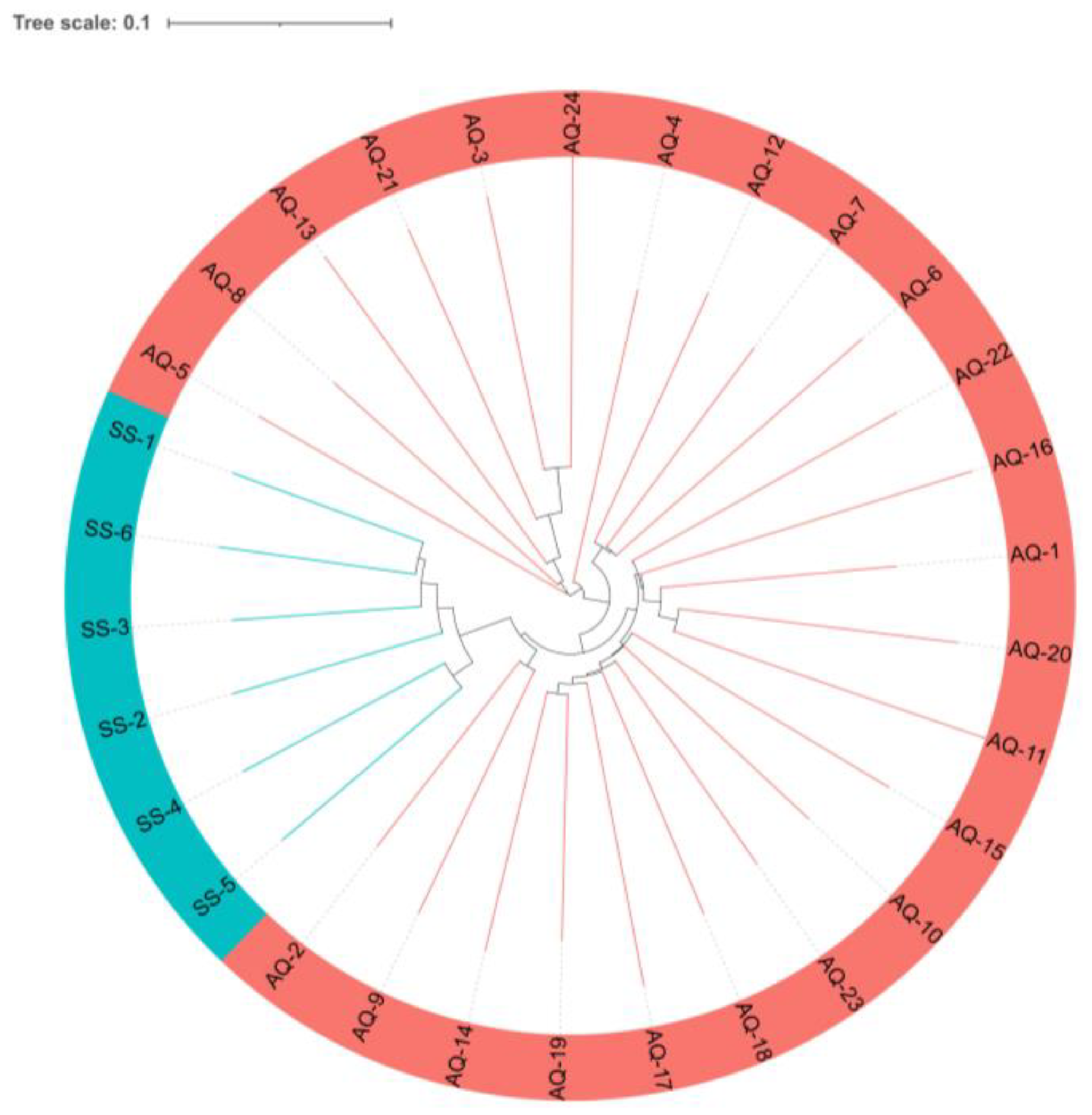 Genes 14 00472 g003 Genes 14 00472 g003