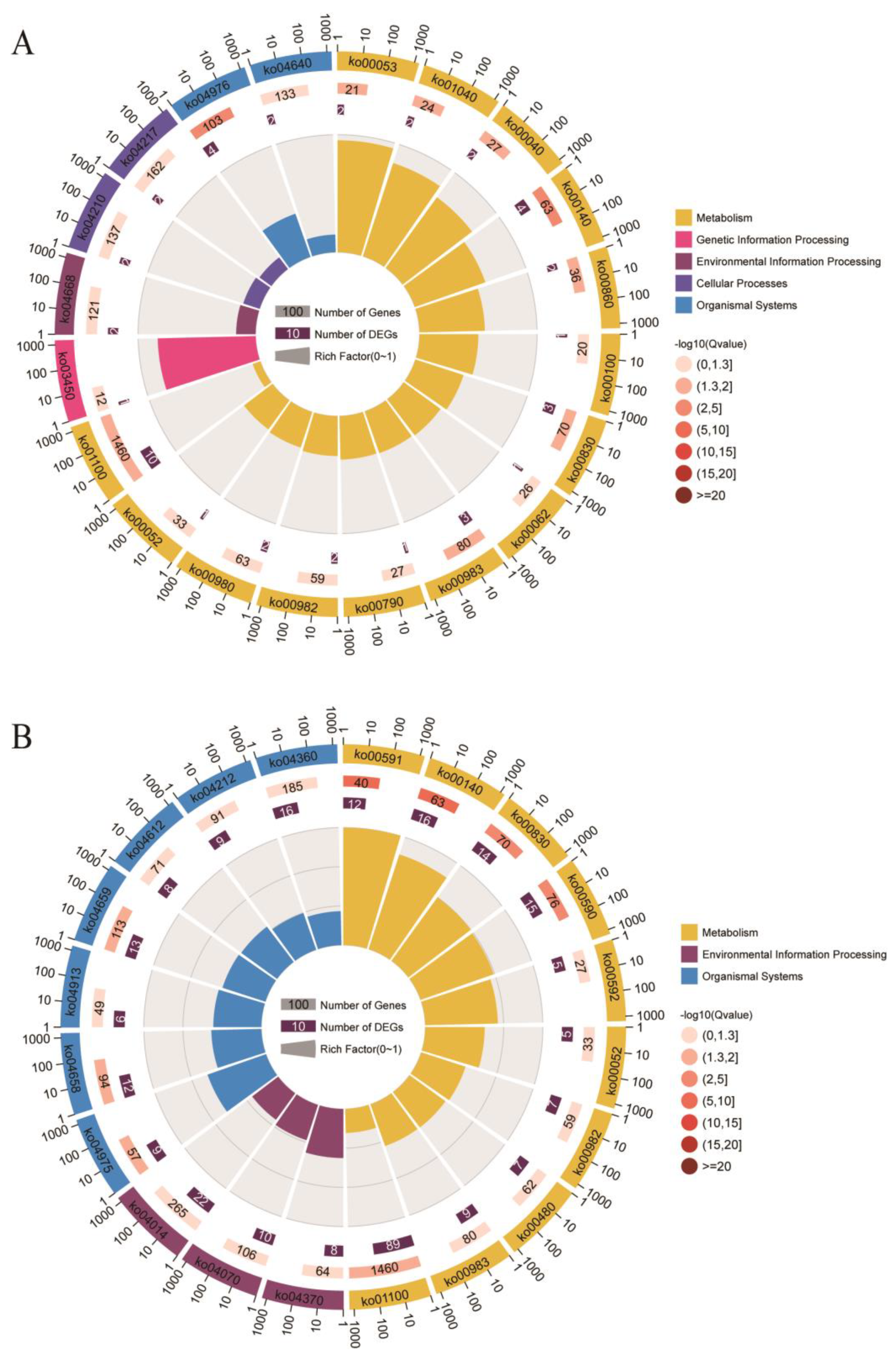 Genes 14 00472 g006 Genes 14 00472 g006