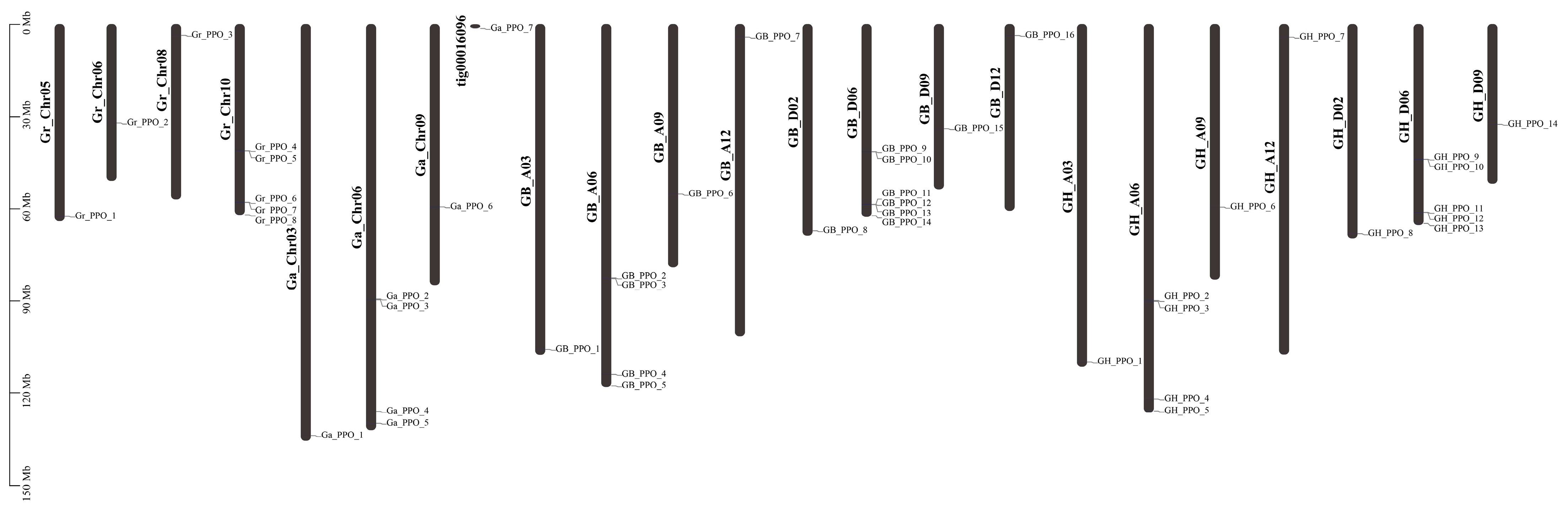 Genes 14 00477 g001 Genes 14 00477 g001