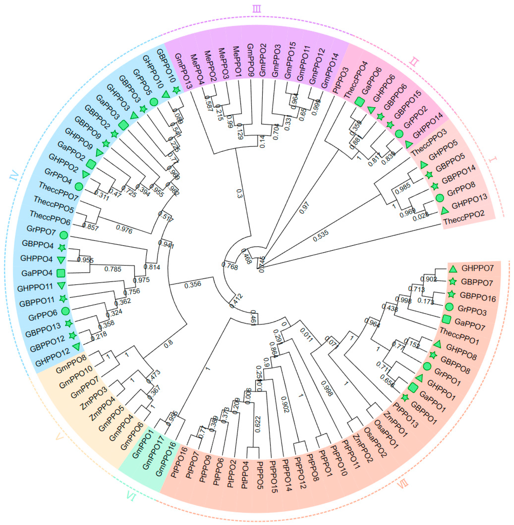 Genes 14 00477 g002 Genes 14 00477 g002