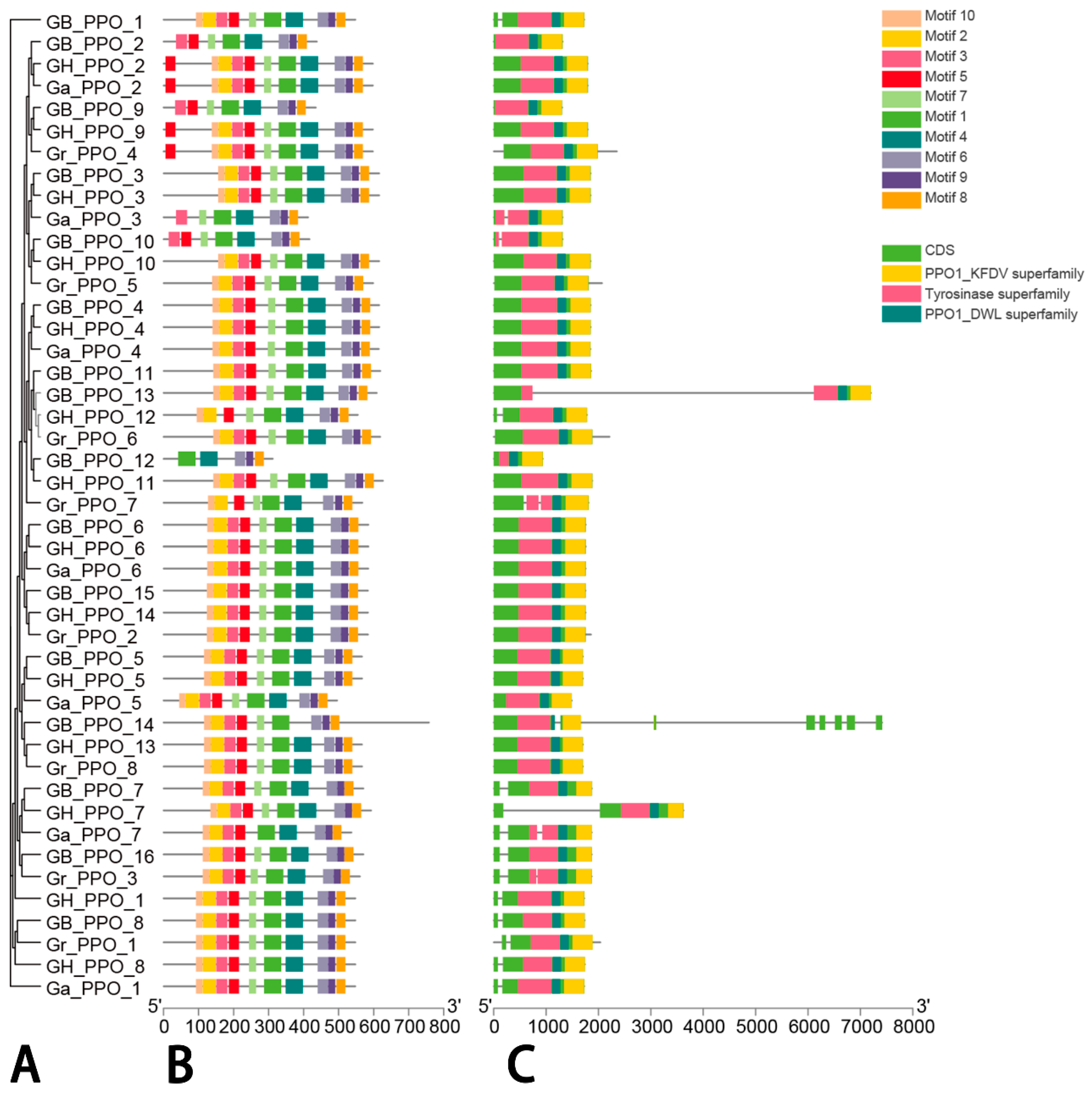 Genes 14 00477 g003 Genes 14 00477 g003