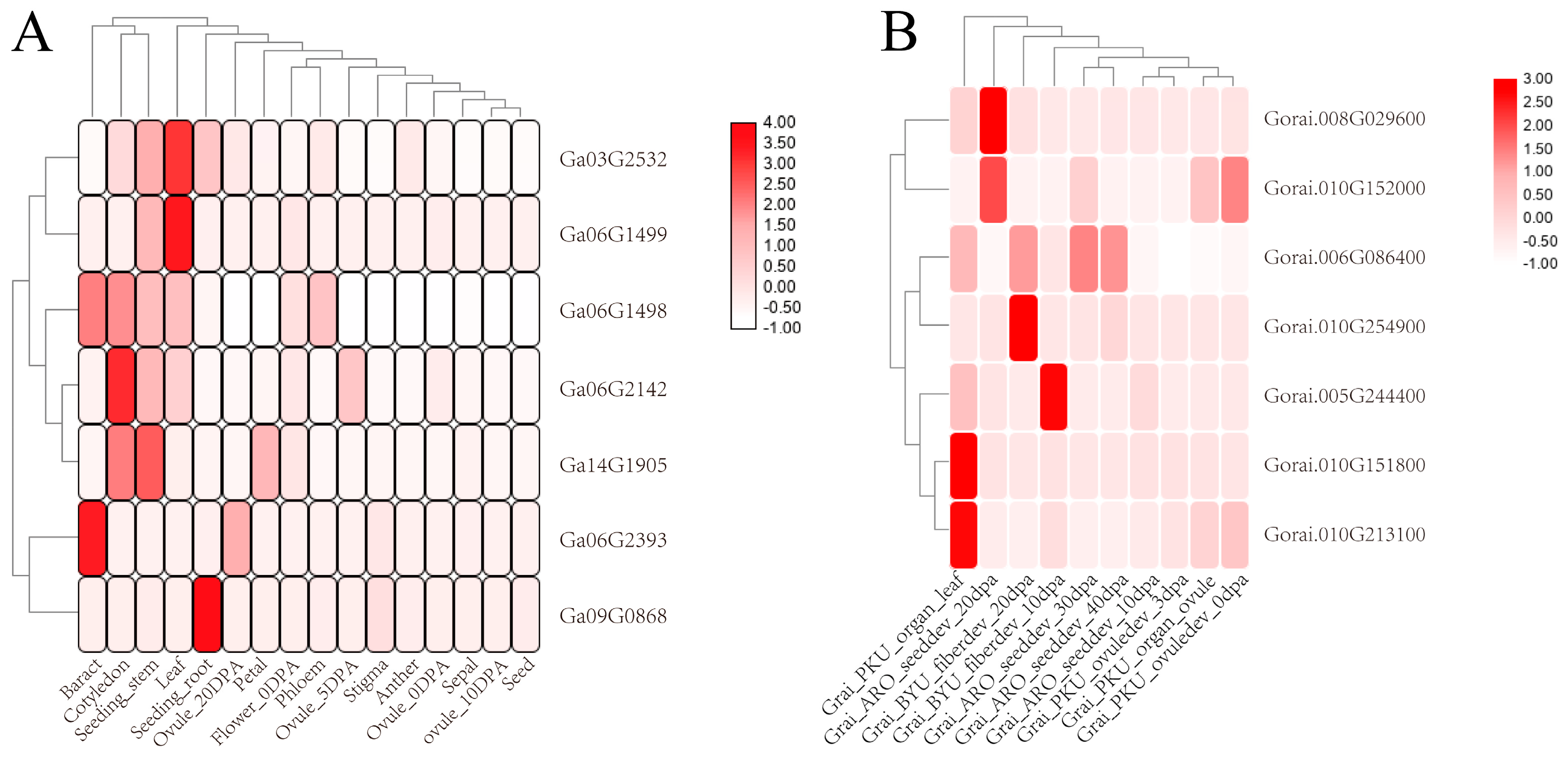 Genes 14 00477 g004 Genes 14 00477 g004