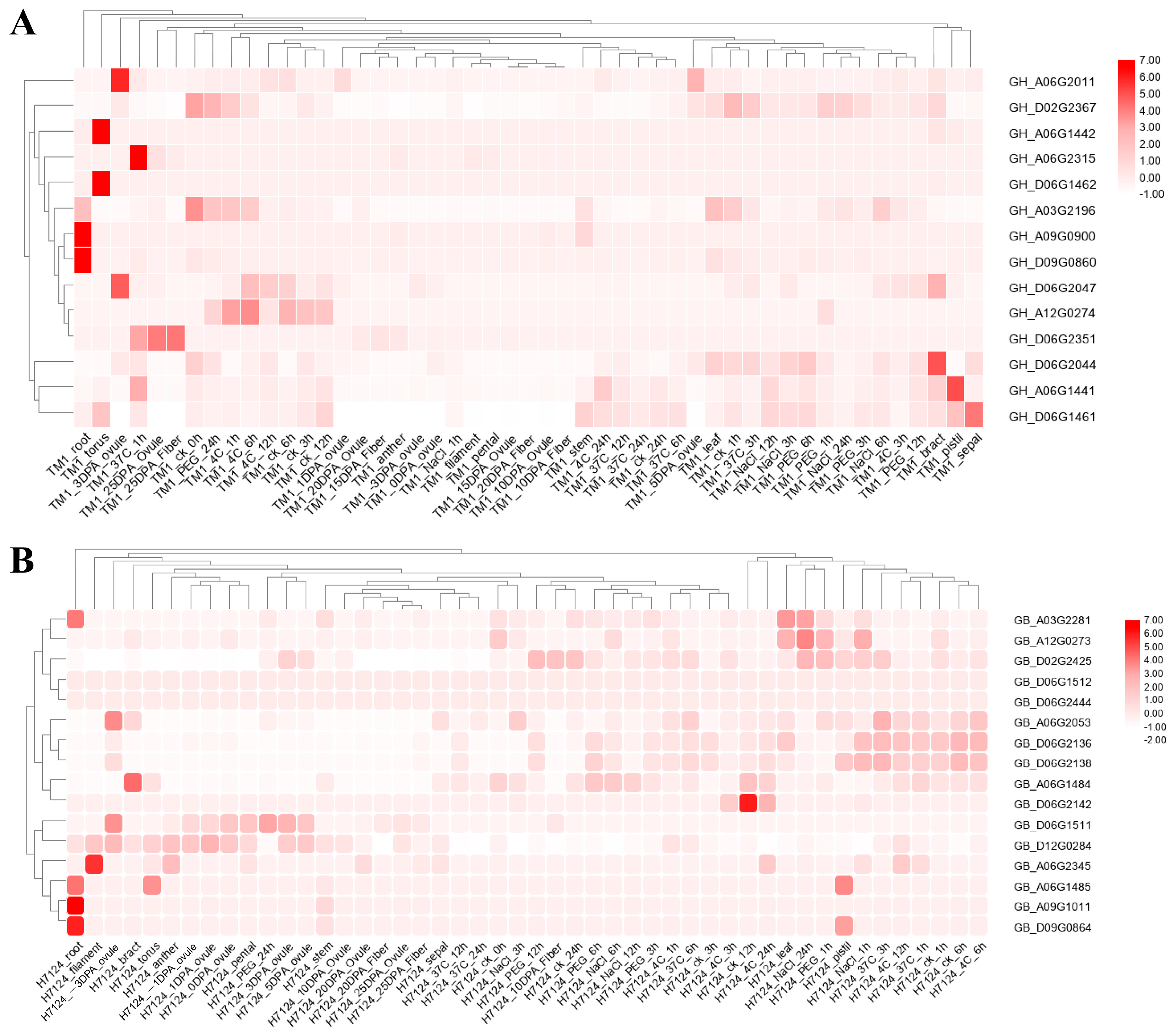 Genes 14 00477 g005 Genes 14 00477 g005