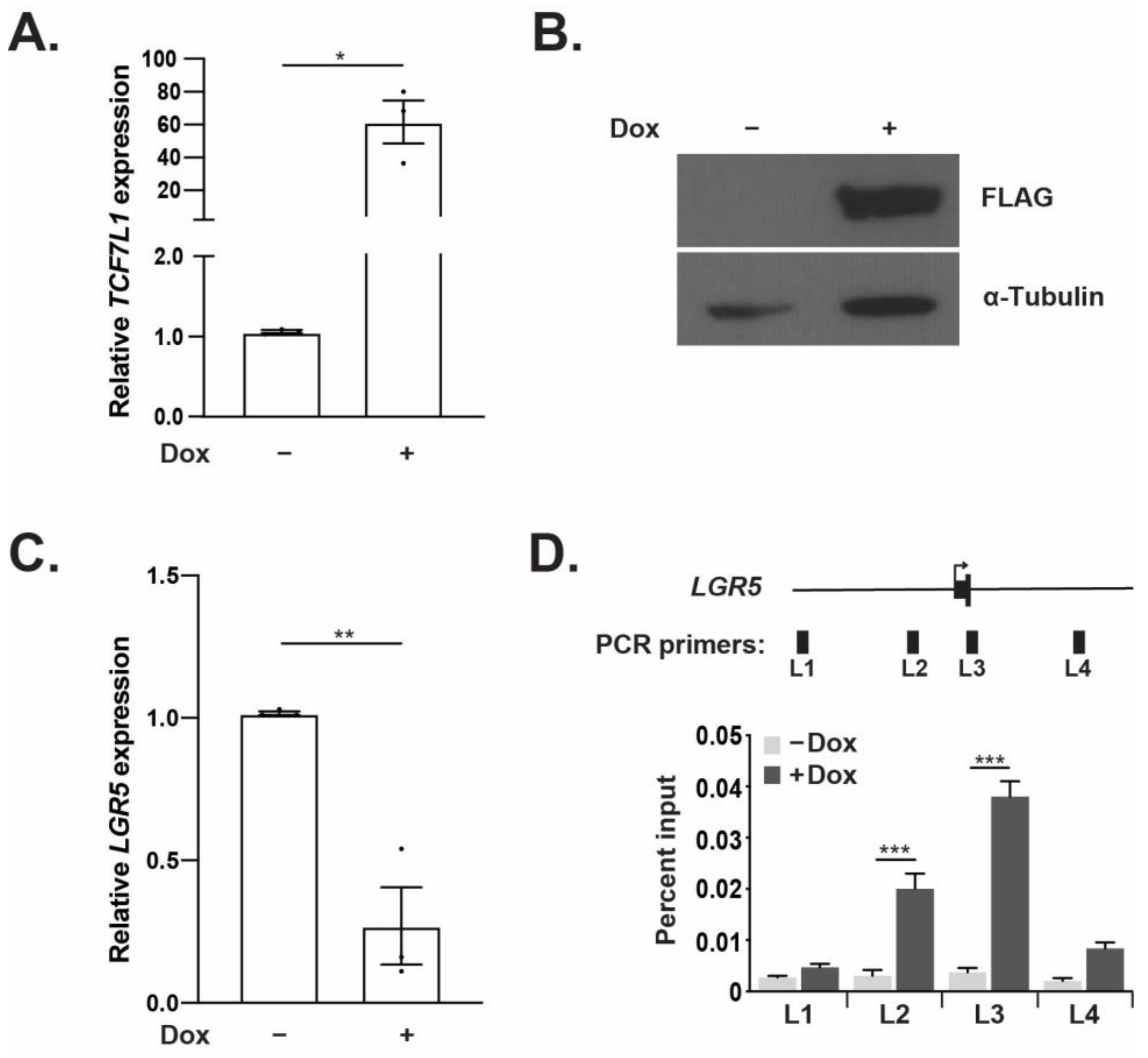 Genes 14 00481 g002 Genes 14 00481 g002