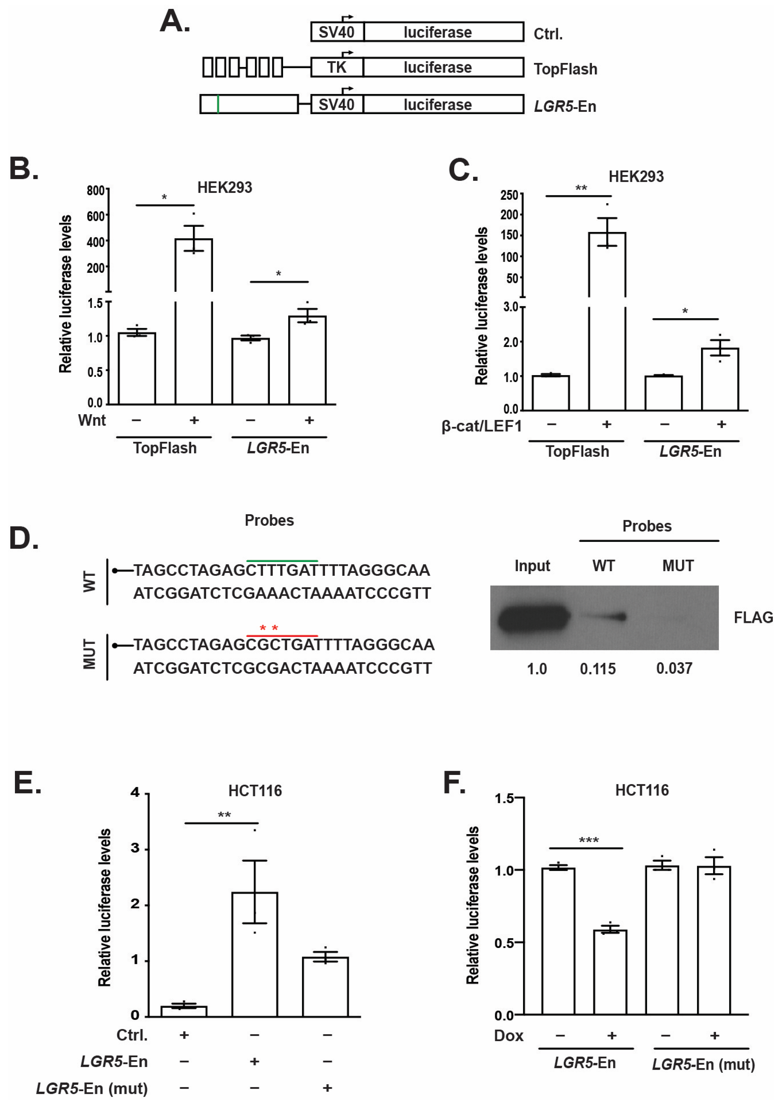 Genes 14 00481 g003 Genes 14 00481 g003